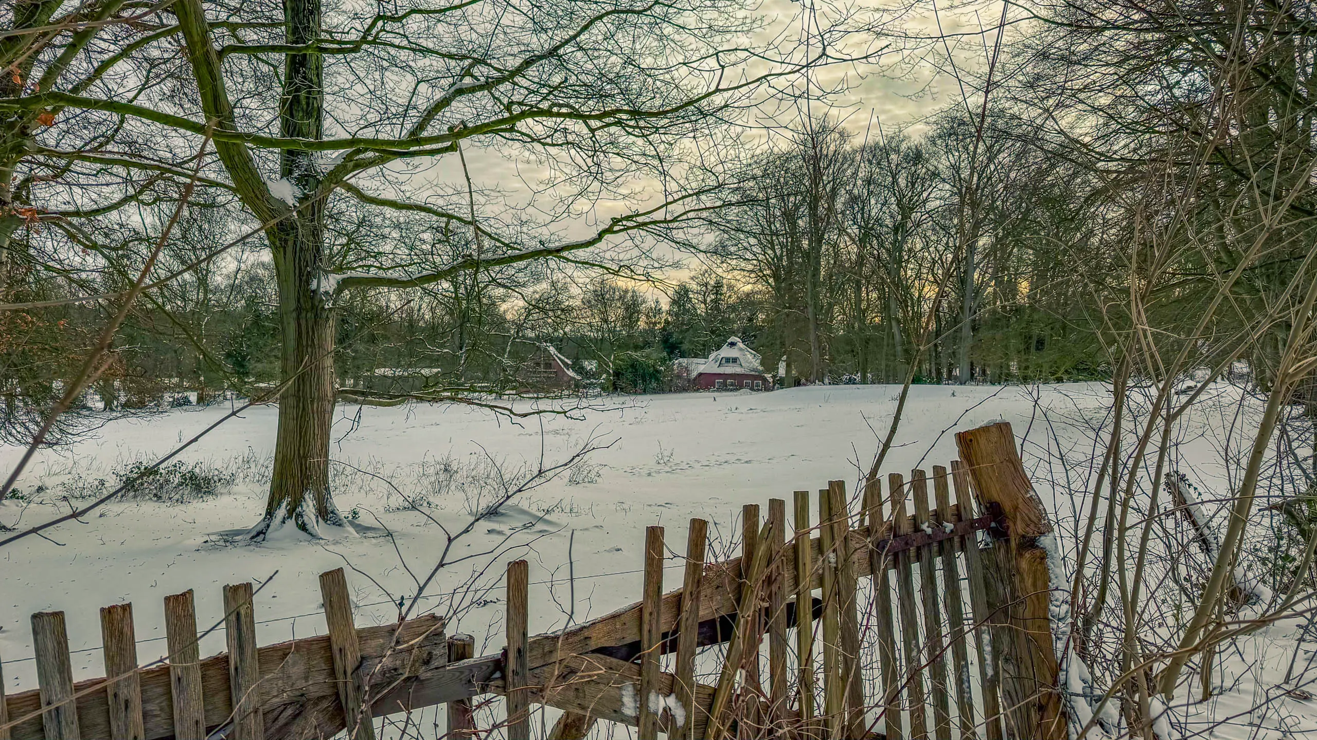 20261001.Tal.der.Schönebecker.Aue.Bild03