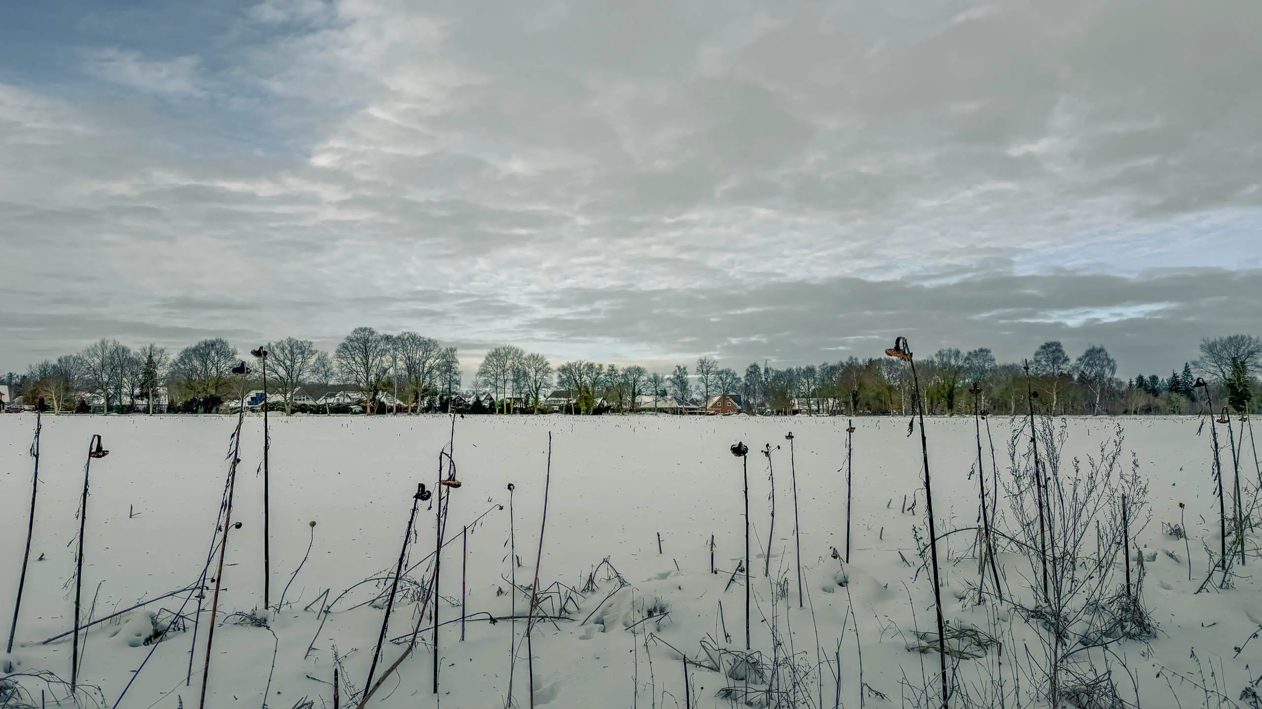 20261001.Tal.der.Schönebecker.Aue.Bild06