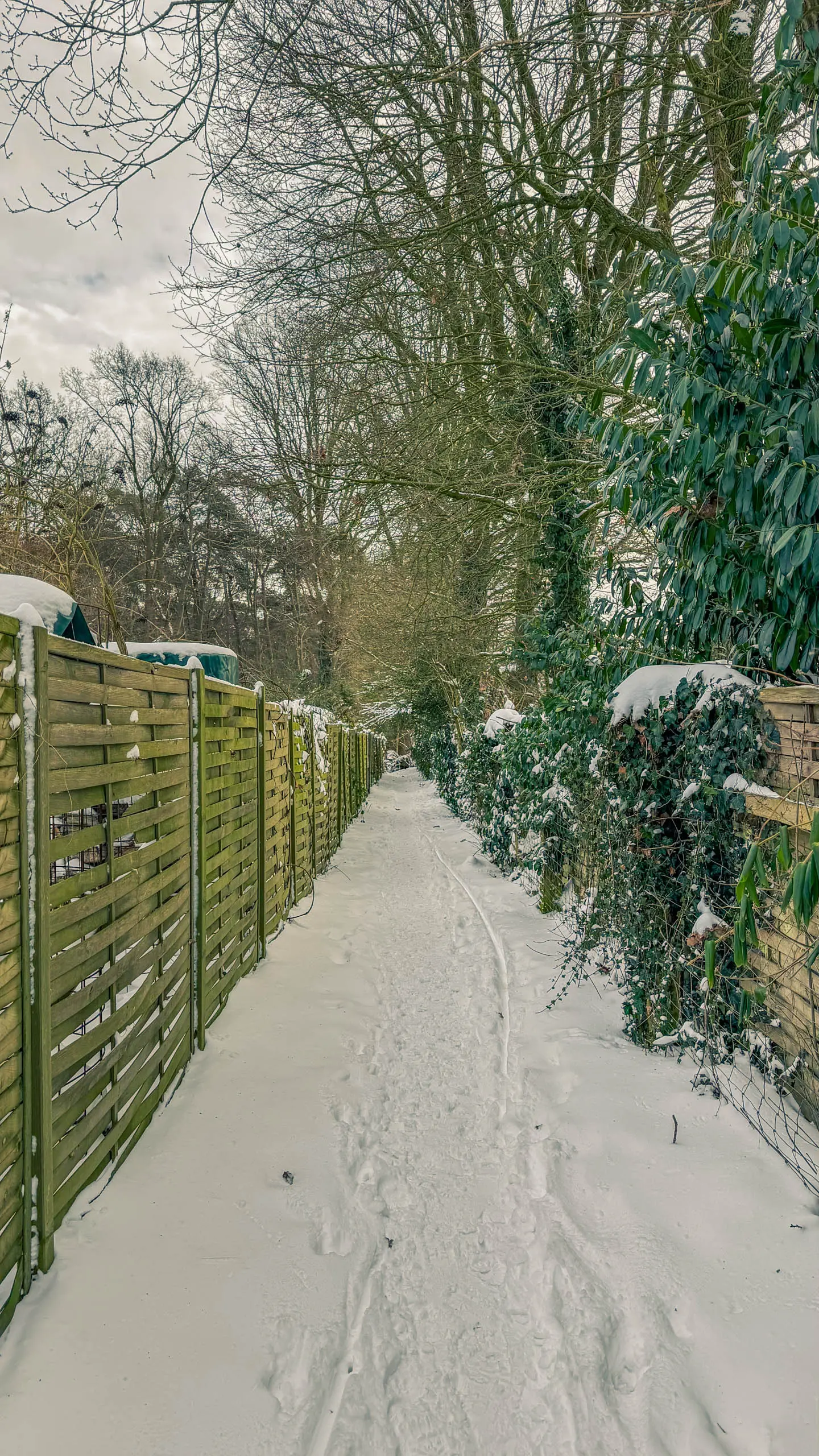 20261001.Tal.der.Schönebecker.Aue.Bild07