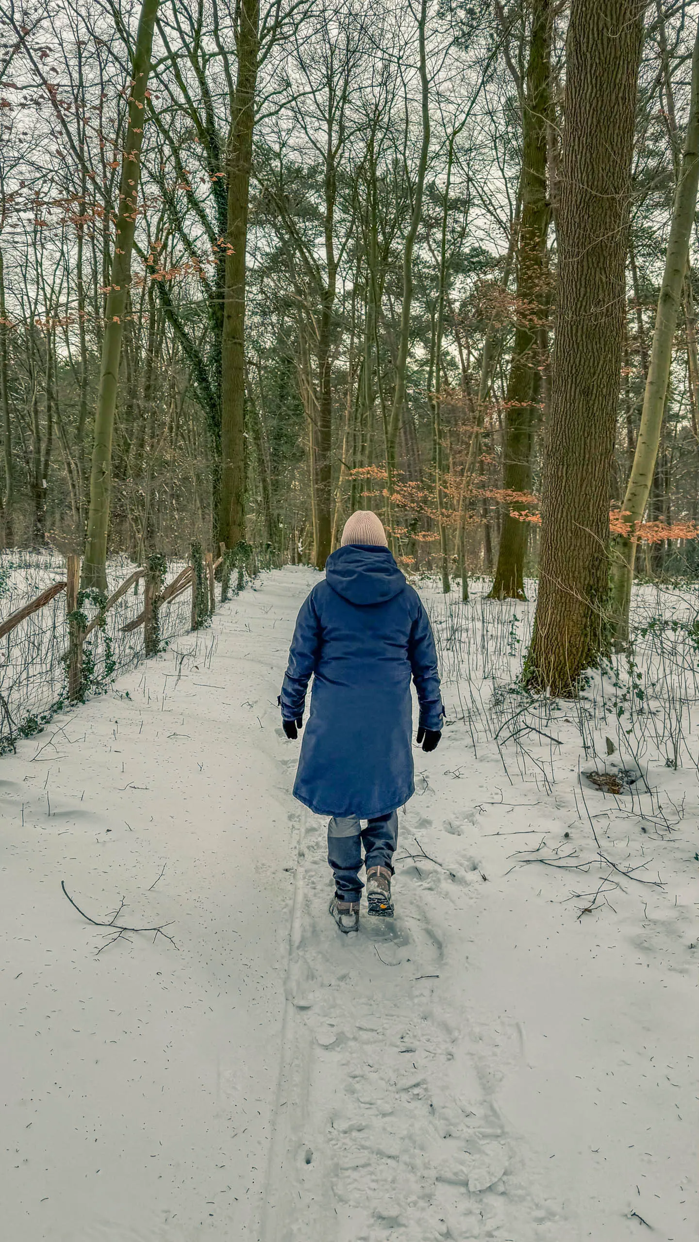 20261001.Tal.der.Schönebecker.Aue.Bild08