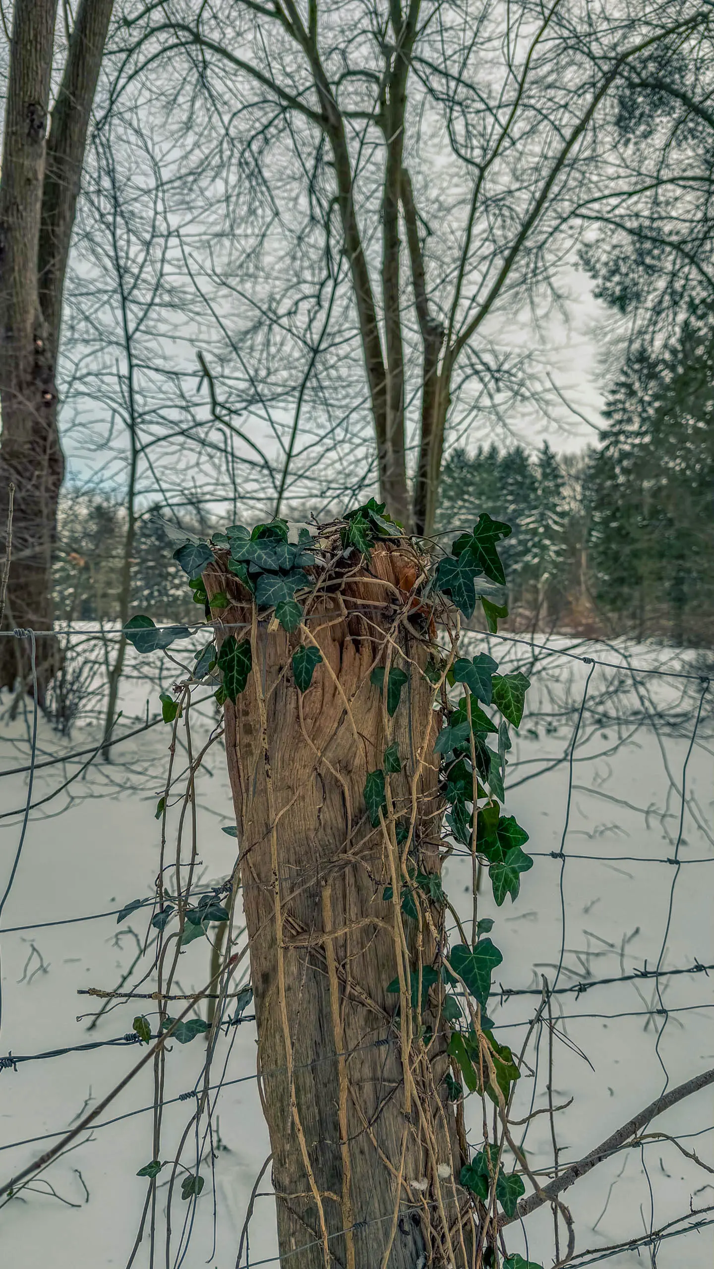 20261001.Tal.der.Schönebecker.Aue.Bild09