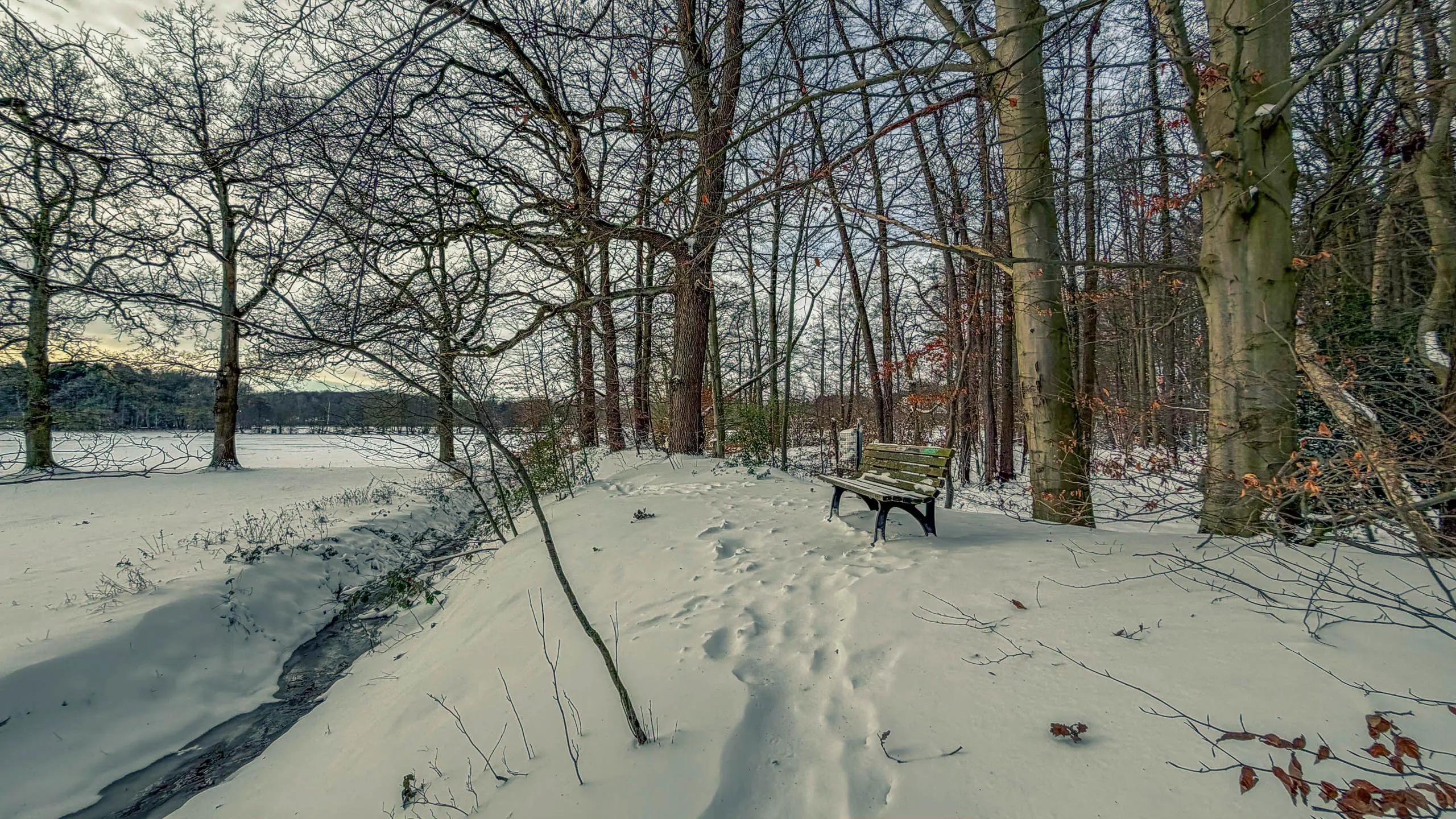 20261001.Tal.der.Schönebecker.Aue.Bild10