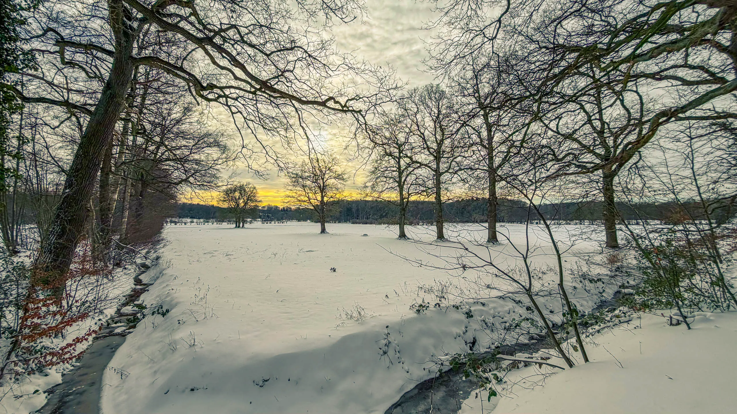 20261001.Tal.der.Schönebecker.Aue.Bild11