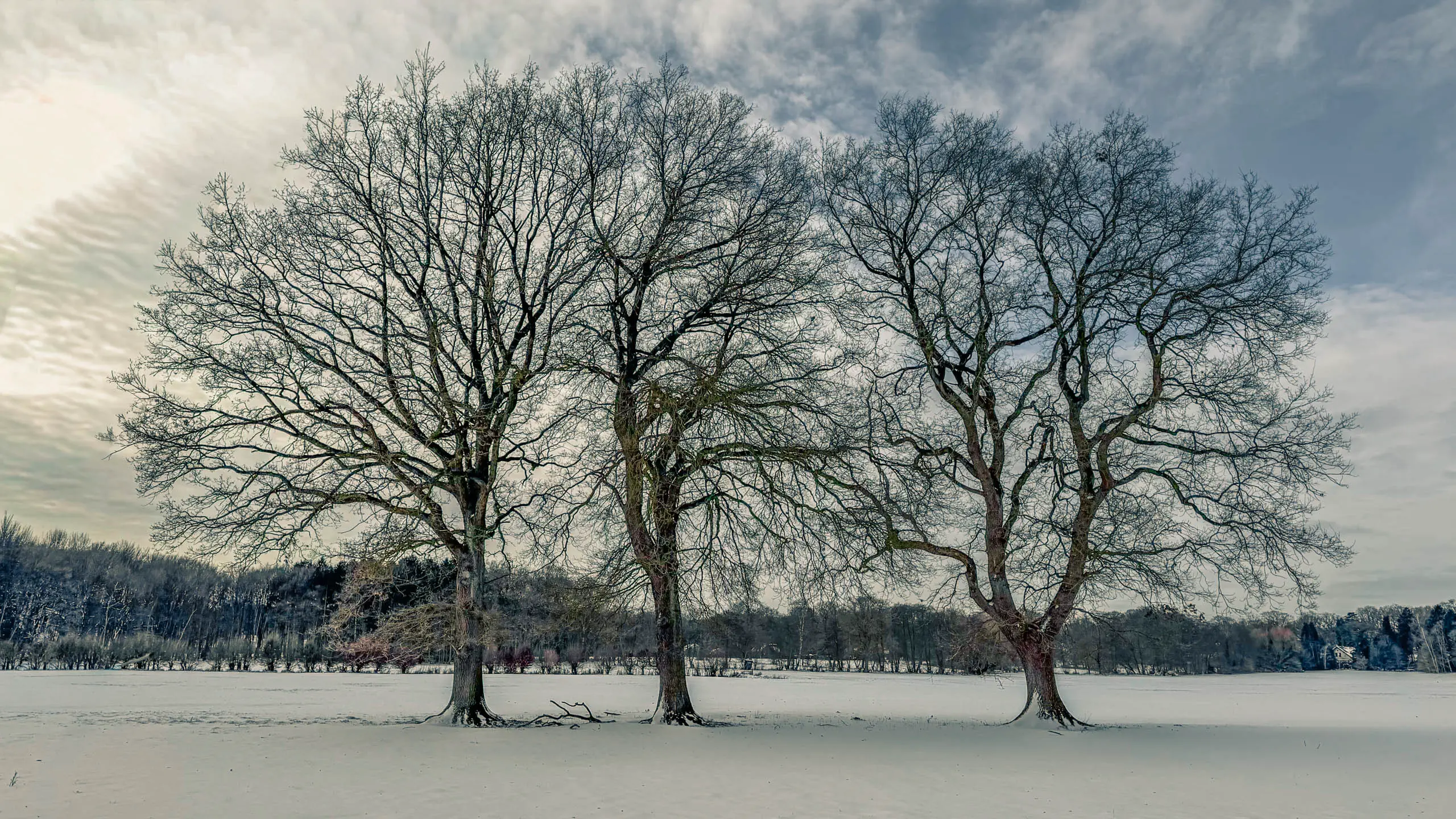 20261001.Tal.der.Schönebecker.Aue.Bild12