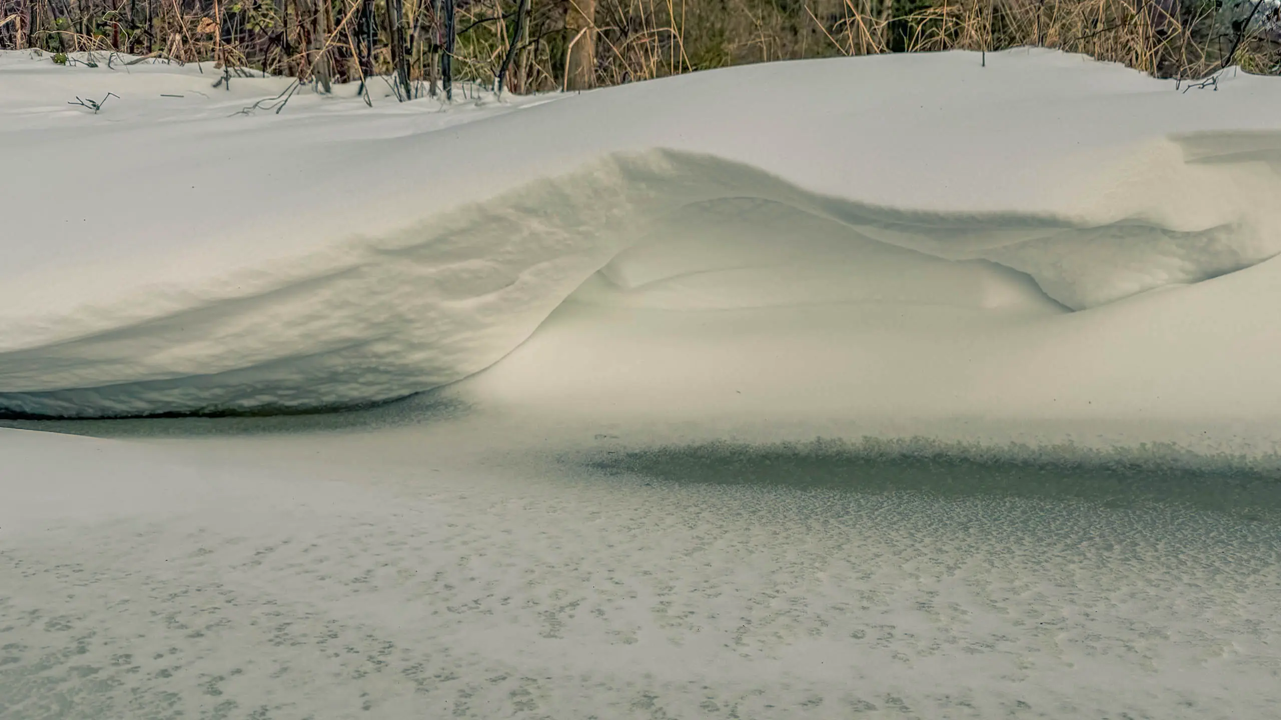 20261001.Tal.der.Schönebecker.Aue.Bild13