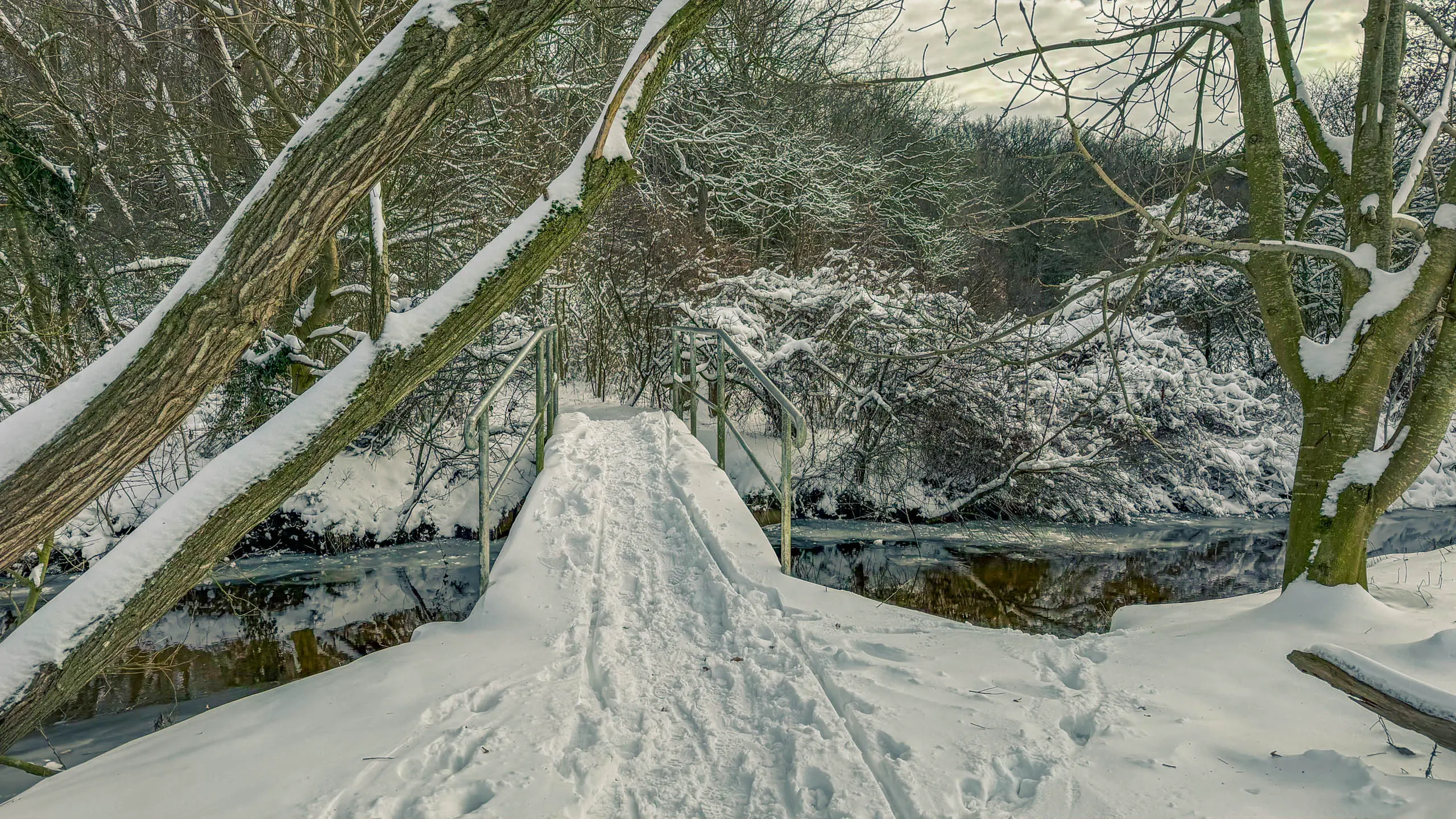 20261001.Tal.der.Schönebecker.Aue.Bild14