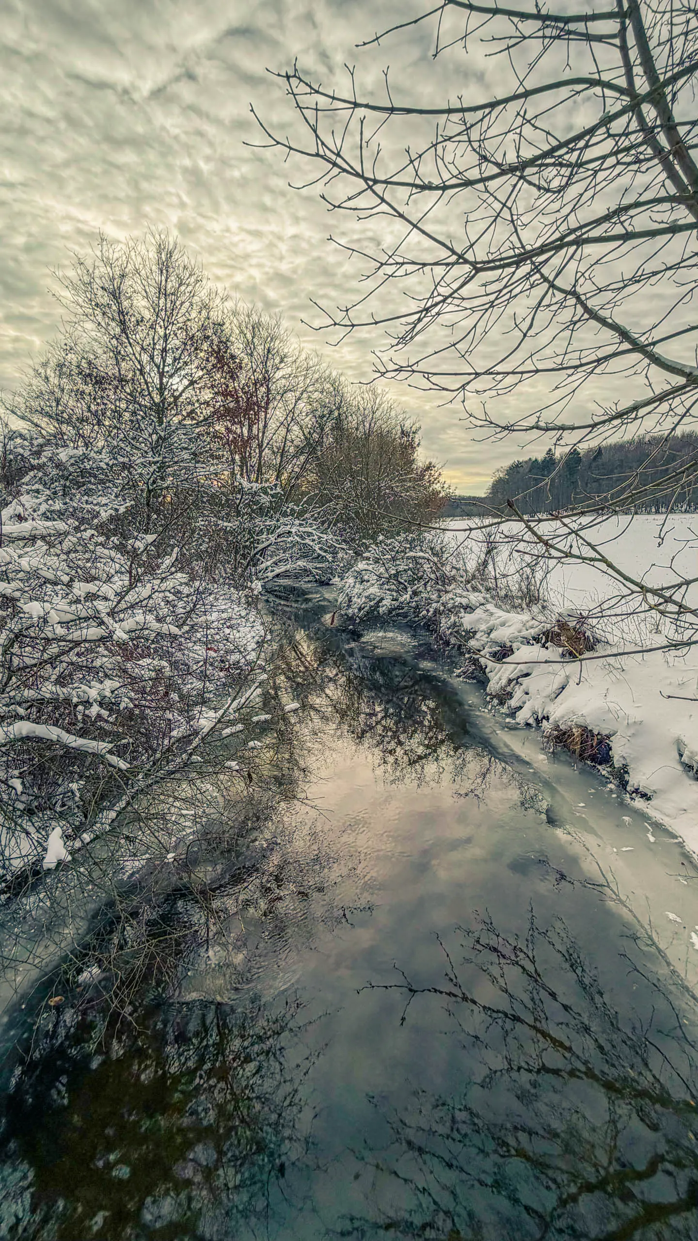 20261001.Tal.der.Schönebecker.Aue.Bild15