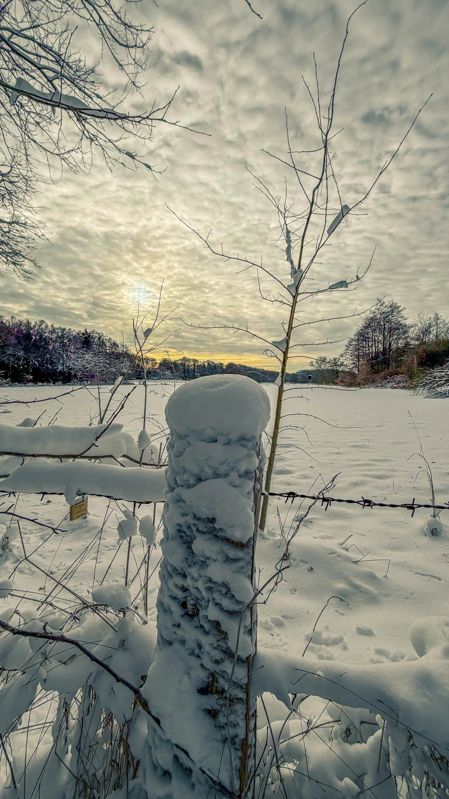 20261001.Tal.der.Schönebecker.Aue.Bild16