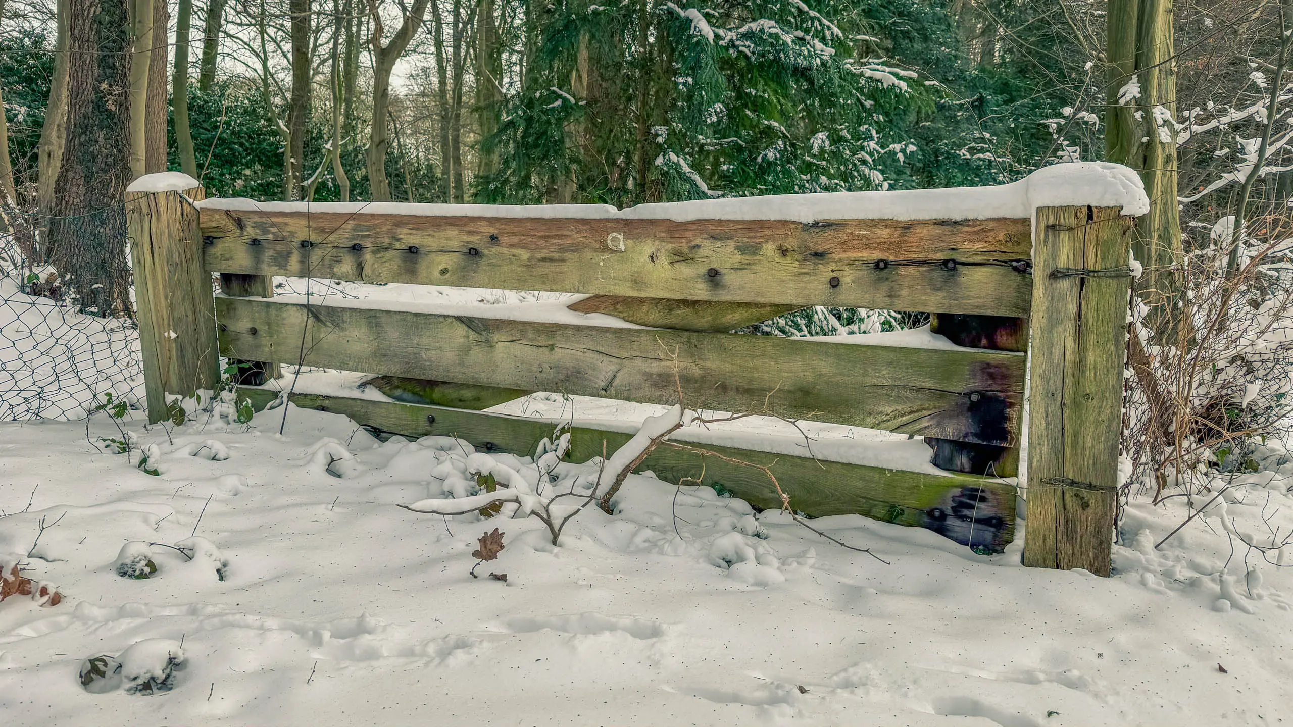 20261001.Tal.der.Schönebecker.Aue.Bild18