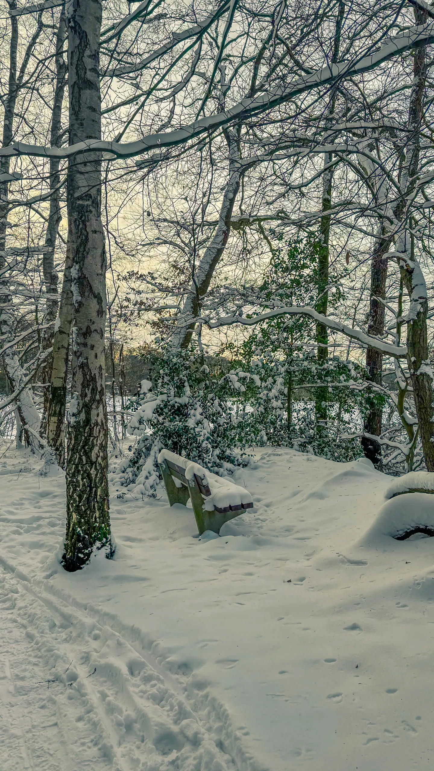 20261001.Tal.der.Schönebecker.Aue.Bild19