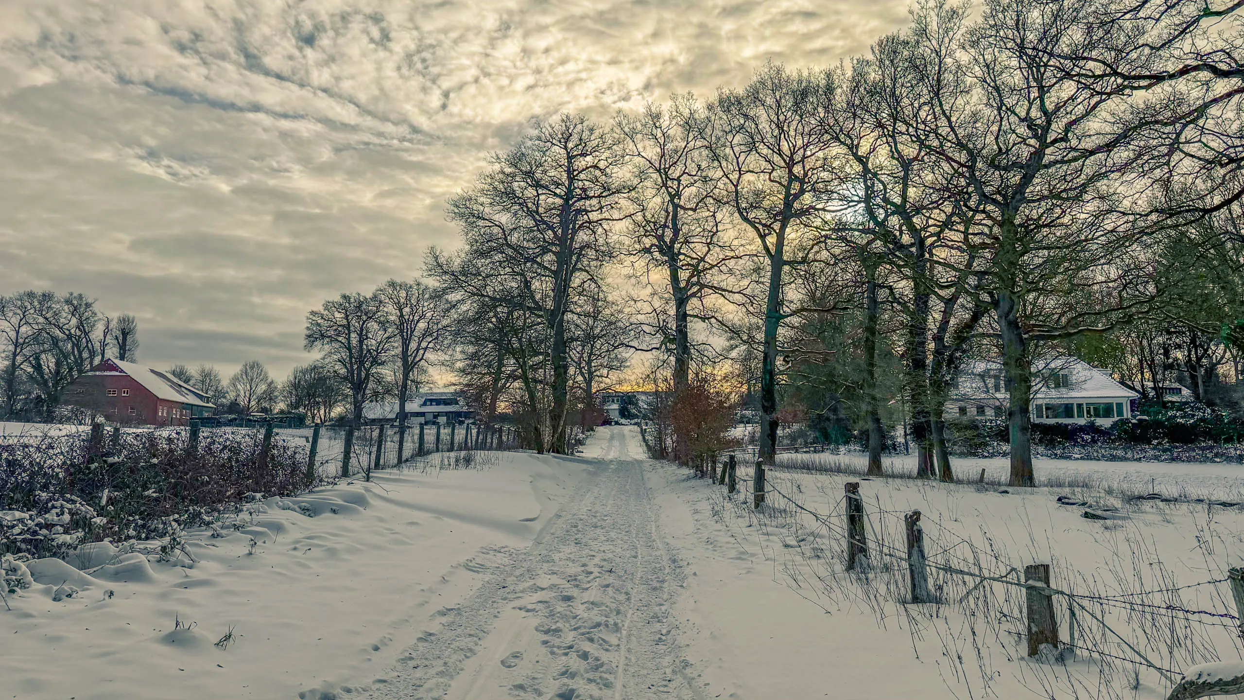 20261001.Tal.der.Schönebecker.Aue.Bild21