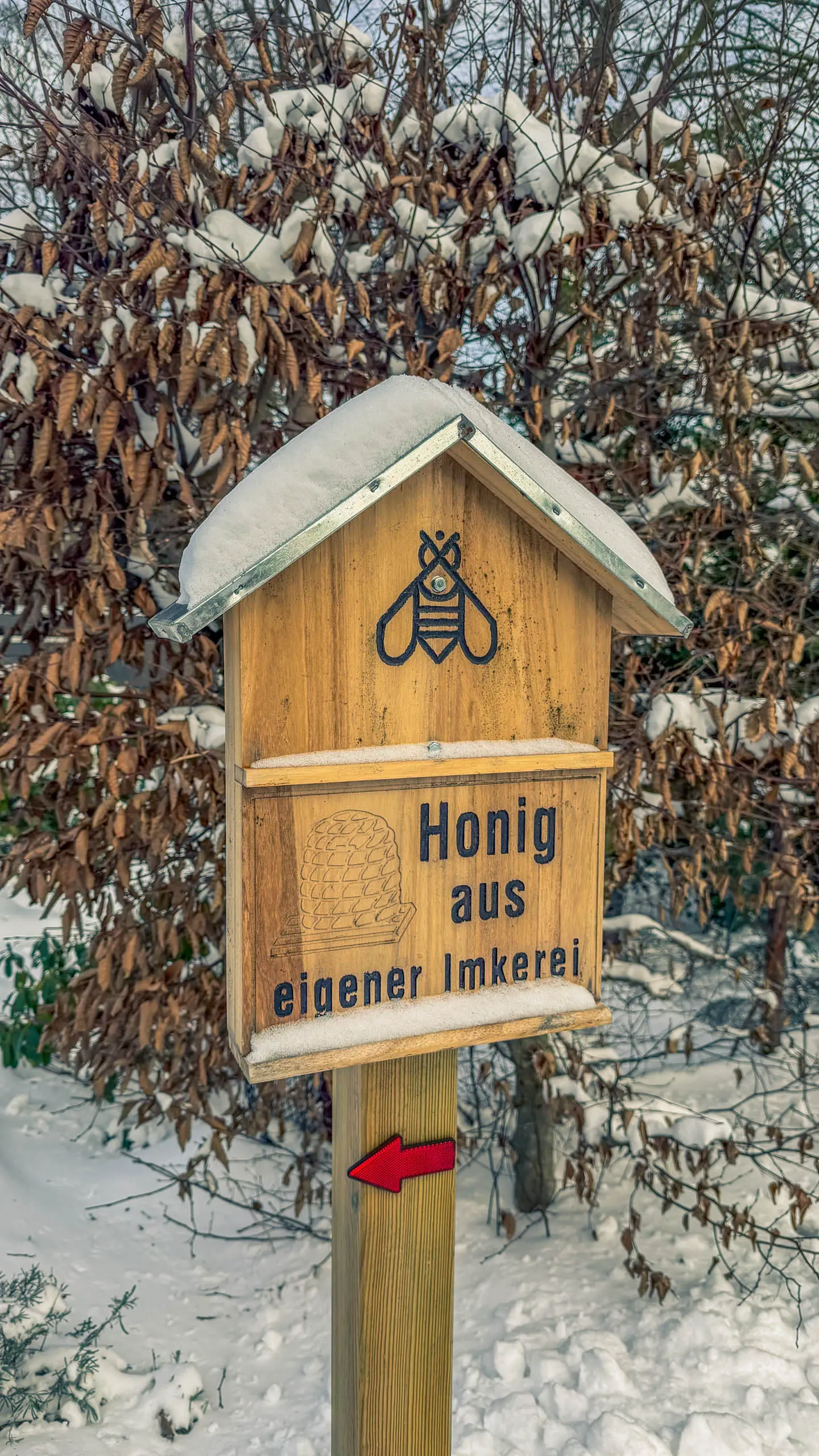 20261001.Tal.der.Schönebecker.Aue.Bild23