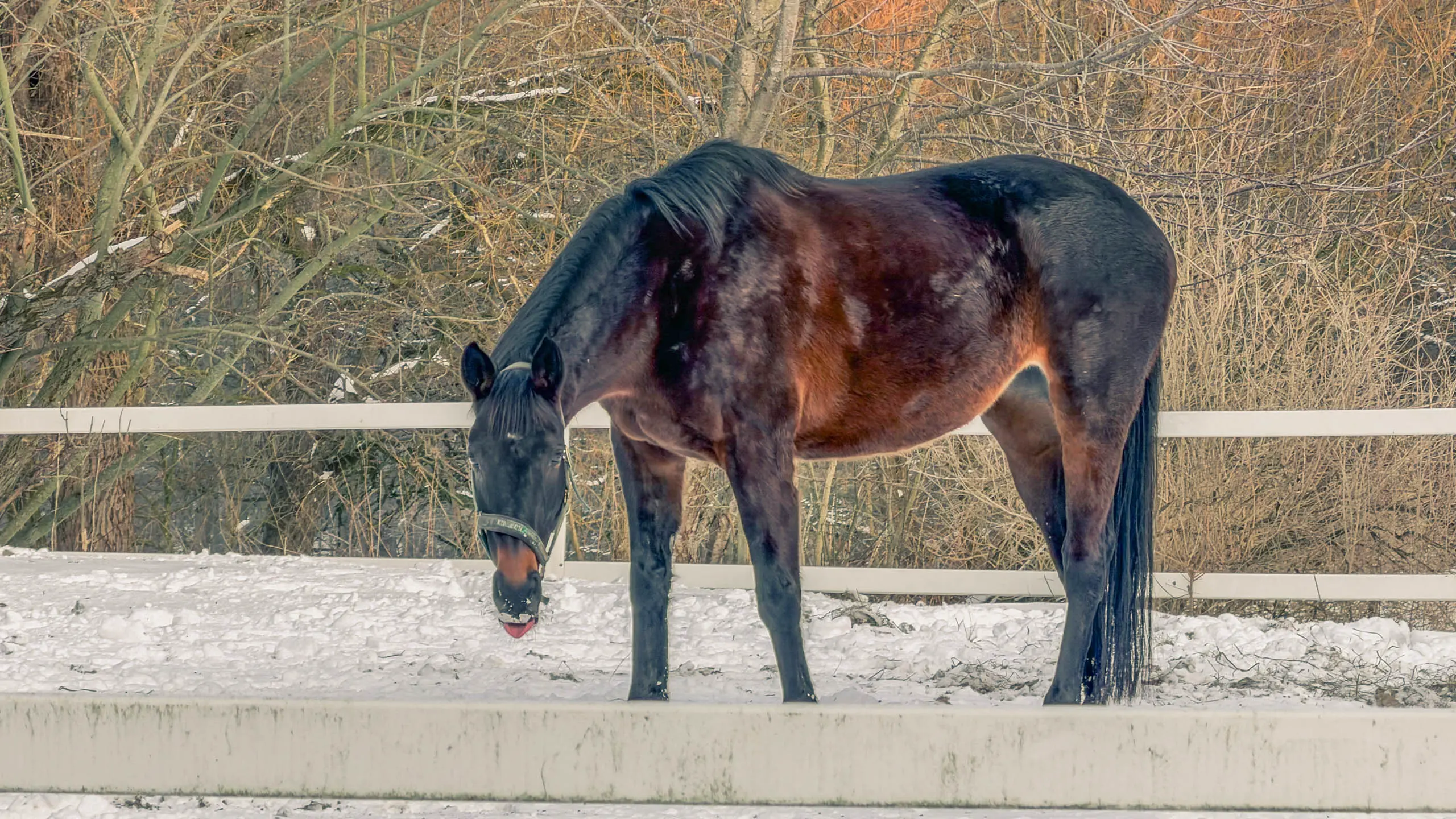 20261001.Tal.der.Schönebecker.Aue.Bild24