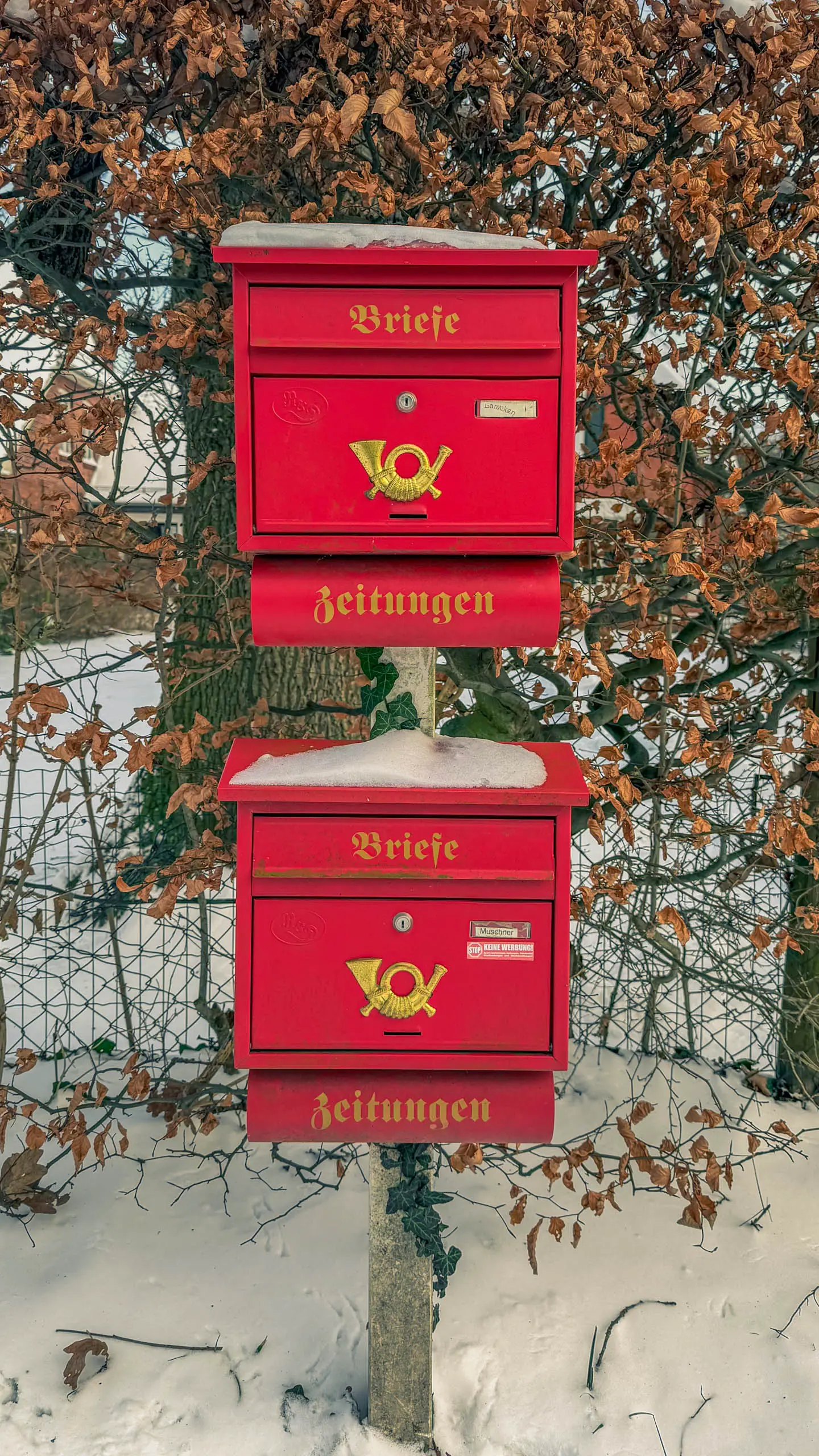 20261001.Tal.der.Schönebecker.Aue.Bild25