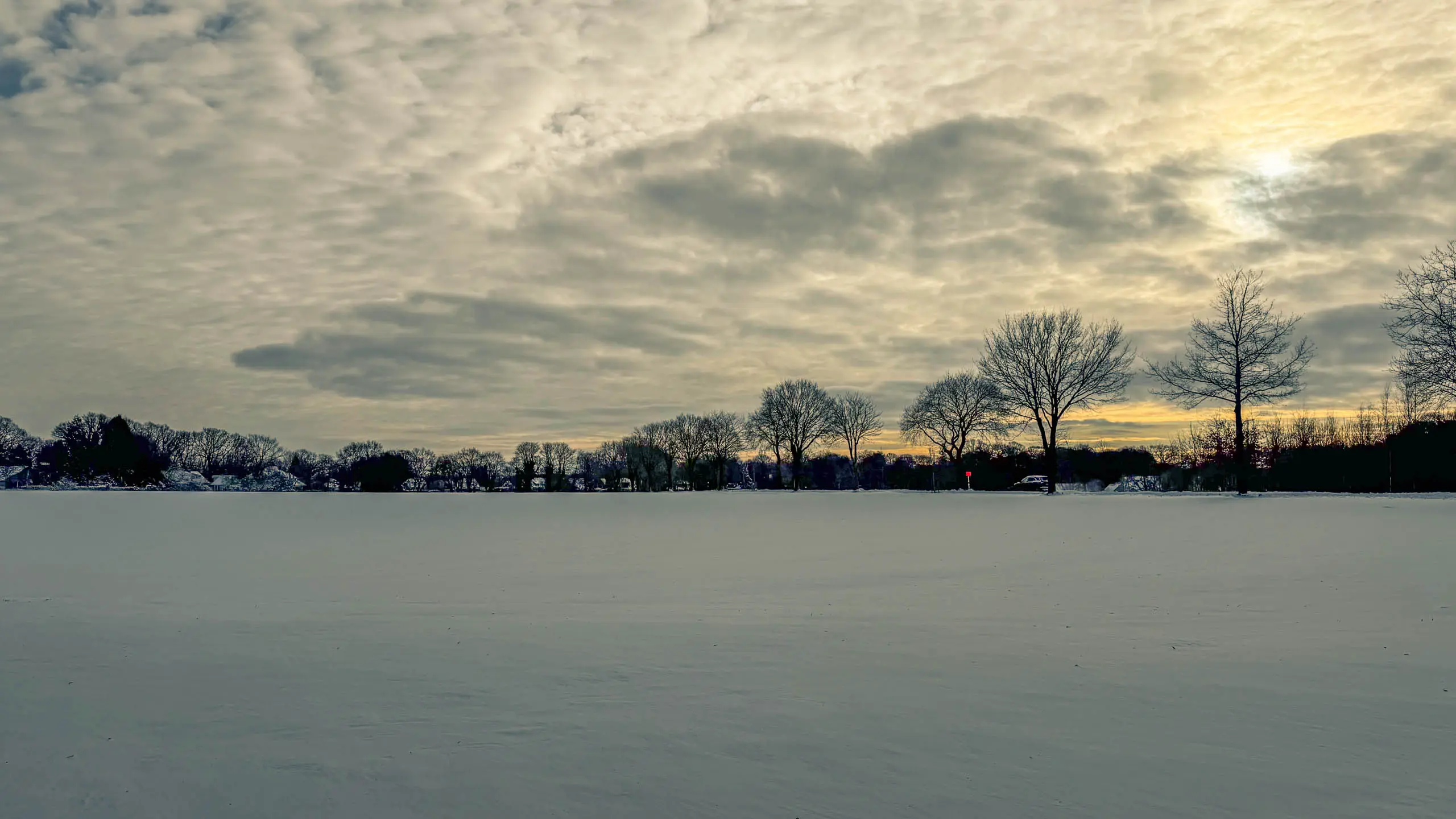 20261001.Tal.der.Schönebecker.Aue.Bild28