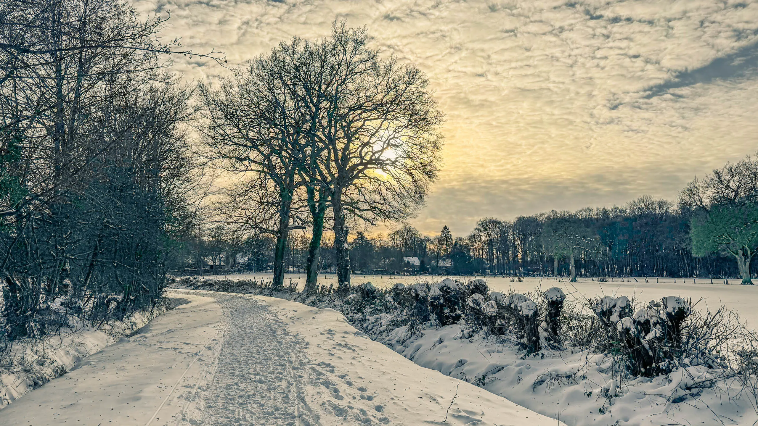 20261001.Tal.der.Schönebecker.Aue.Bild30