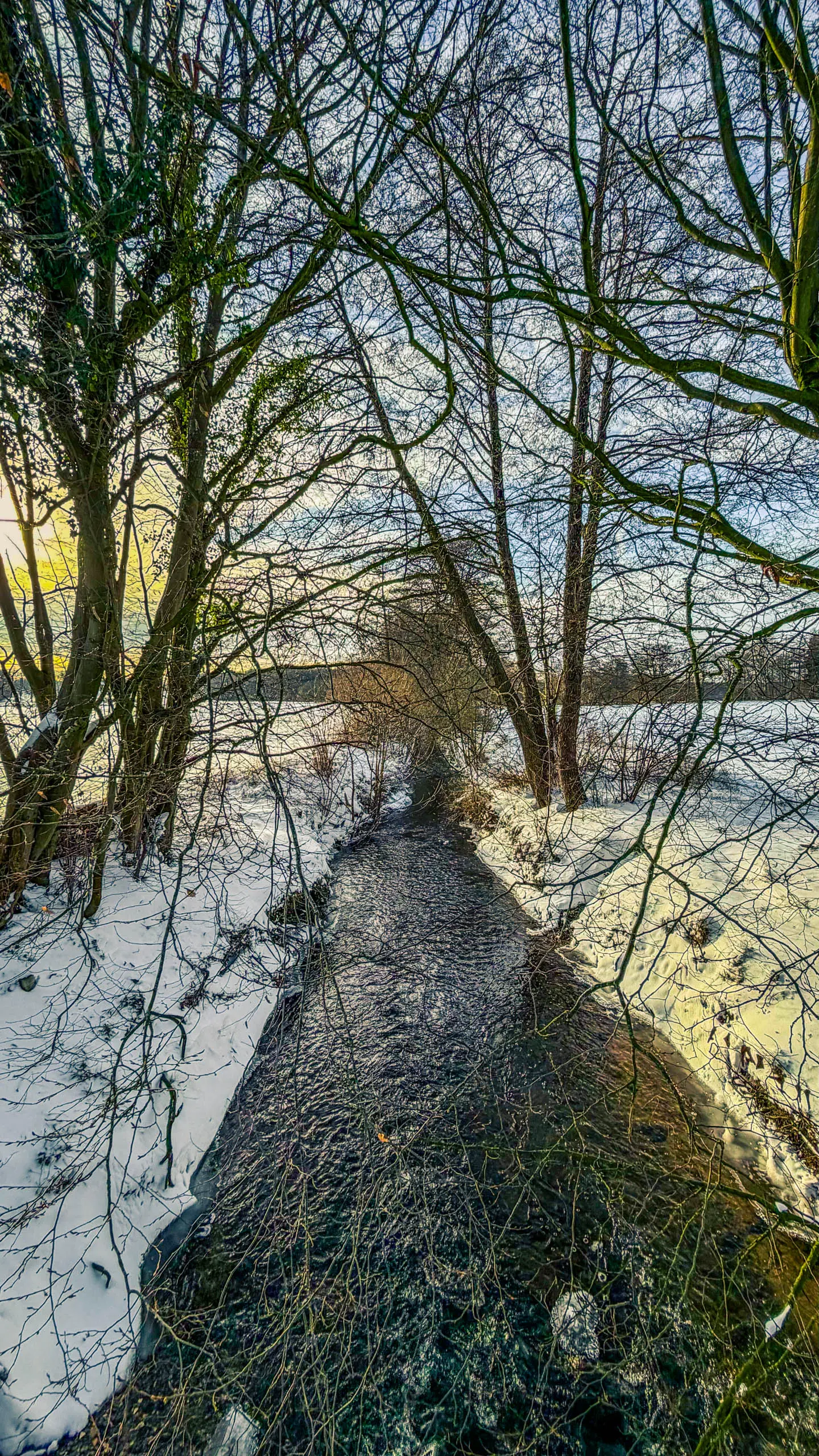 20261001.Tal.der.Schönebecker.Aue.Bild31