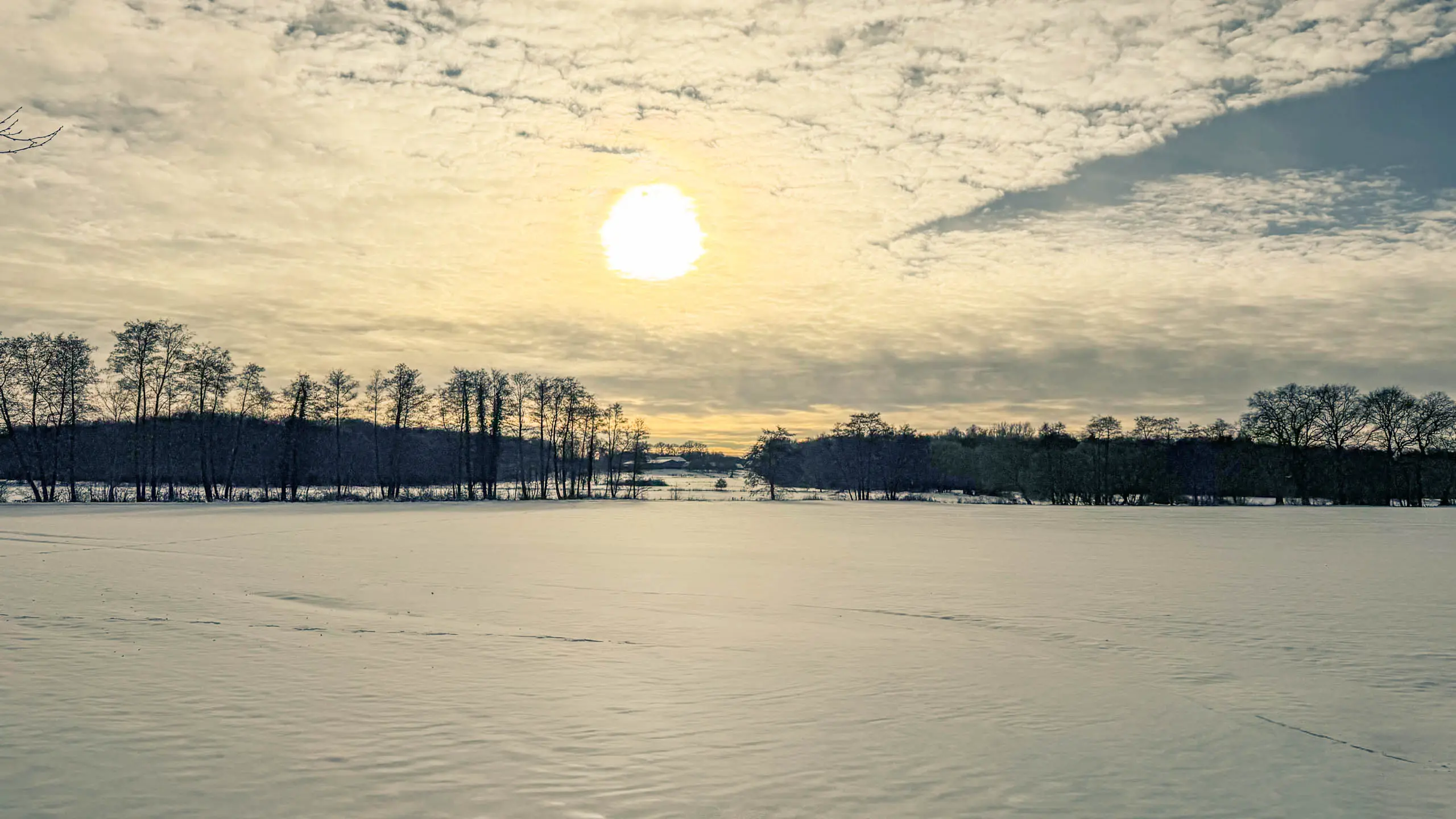 20261001.Tal.der.Schönebecker.Aue.Bild32