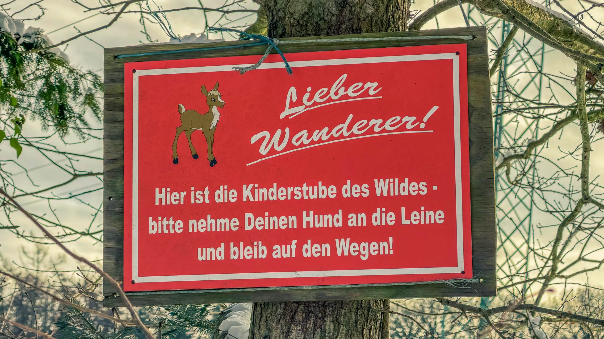 20261001.Tal.der.Schönebecker.Aue.Bild34