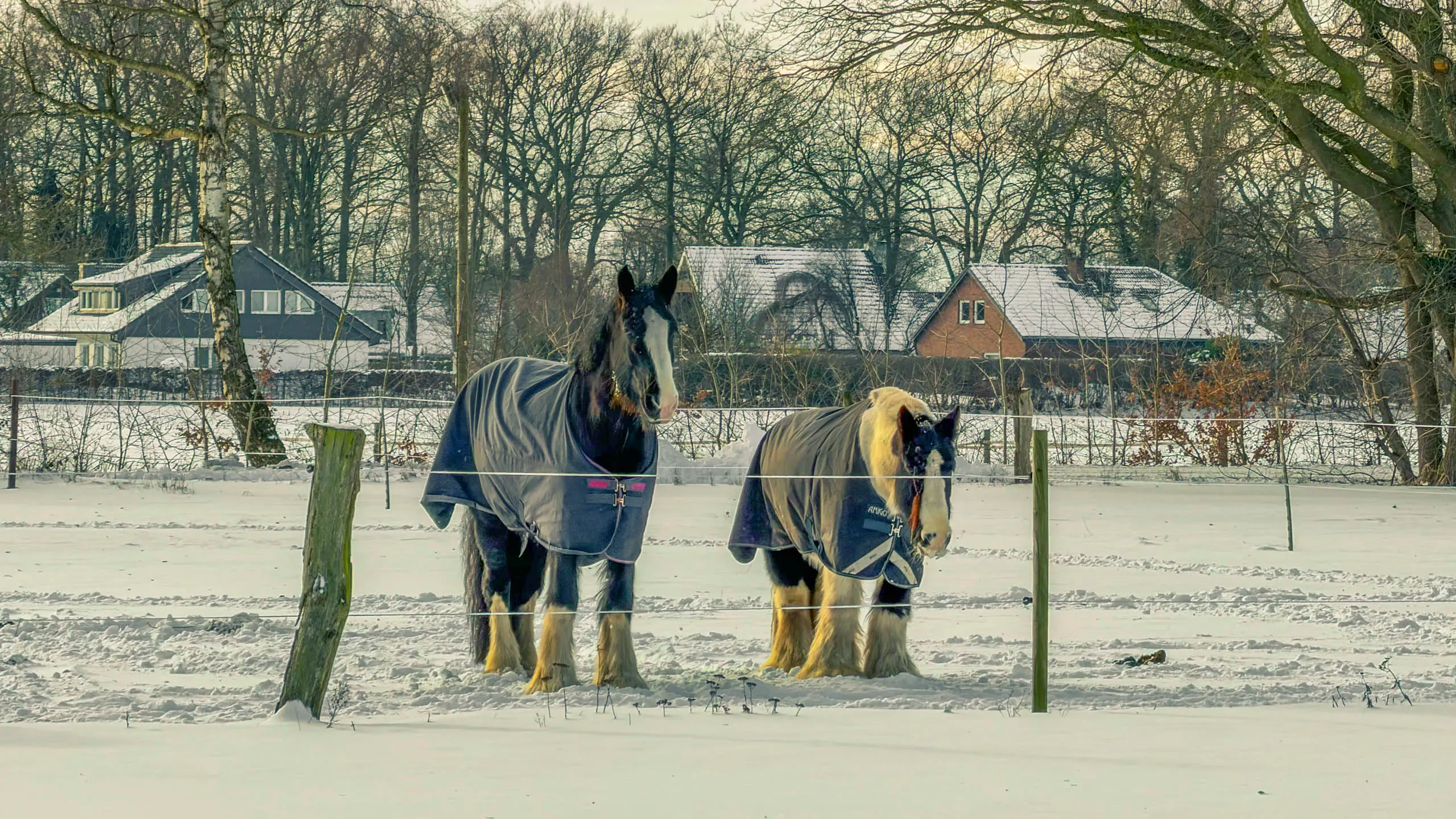 20261001.Tal.der.Schönebecker.Aue.Bild35