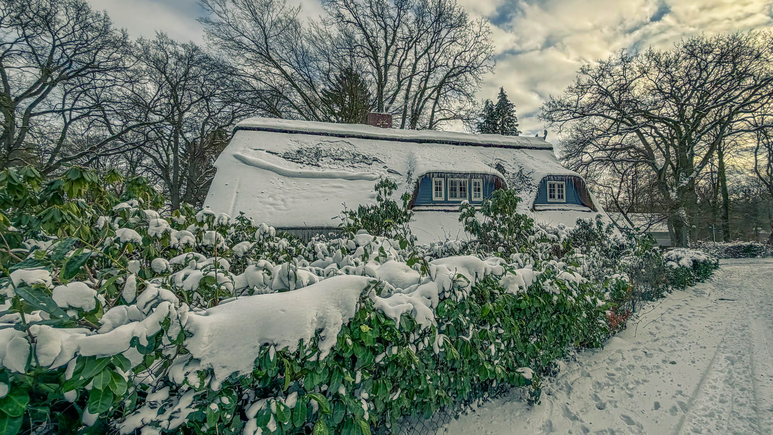 20261001.Tal.der.Schönebecker.Aue.Bild39