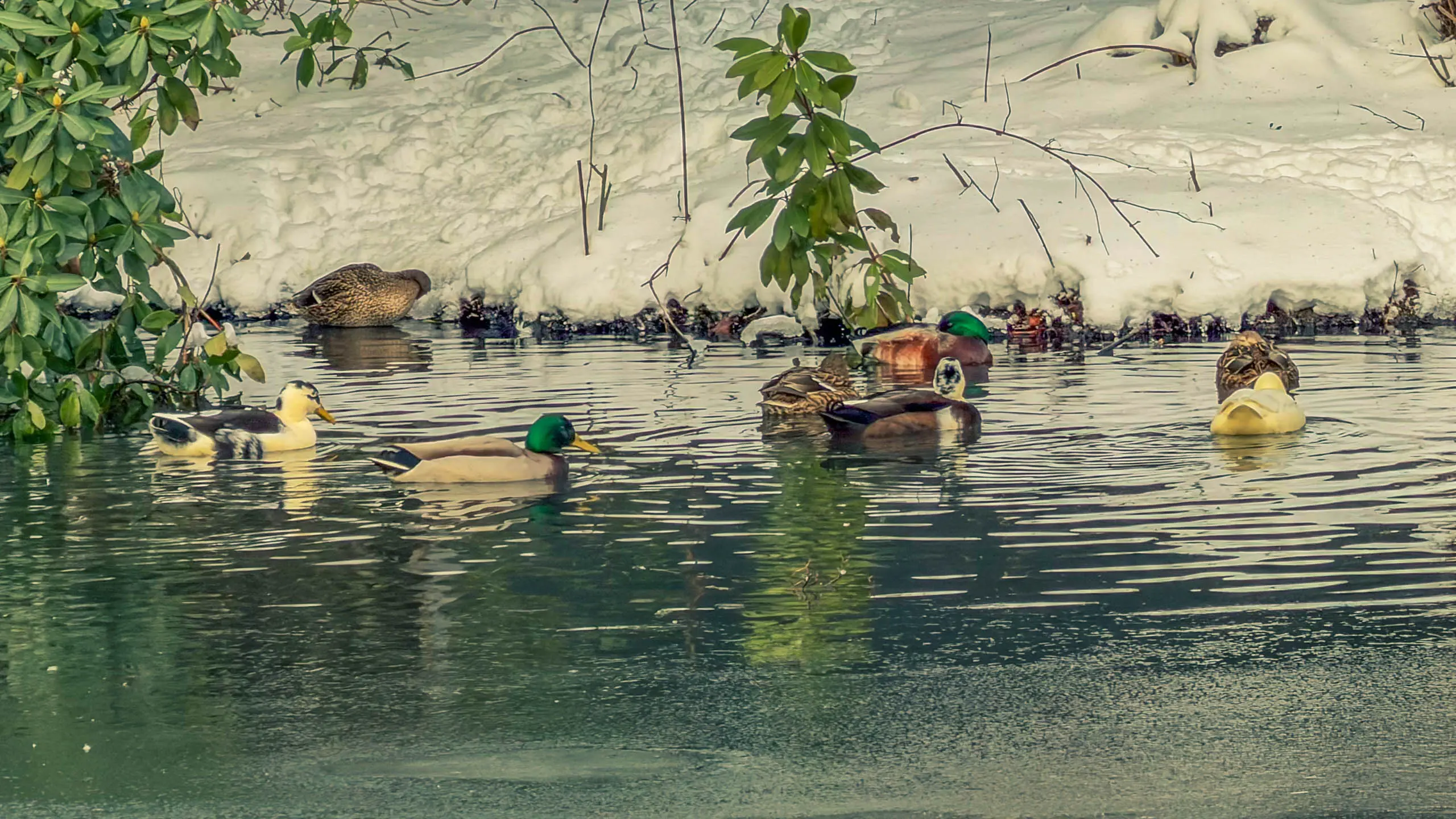 20261001.Tal.der.Schönebecker.Aue.Bild41