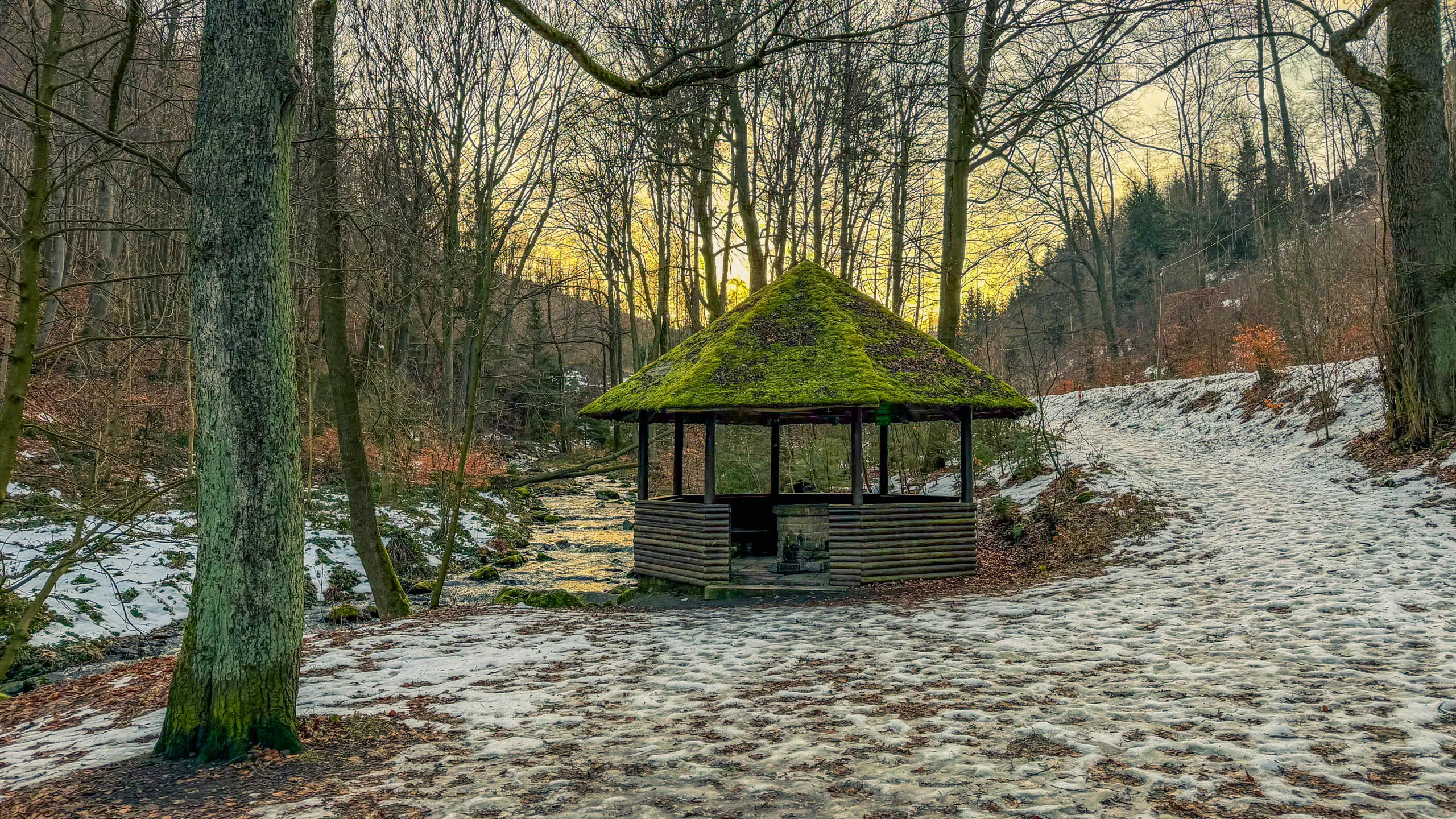 20260117.Harz.Bad.Harzburg.und.Umgebung.Bild.07