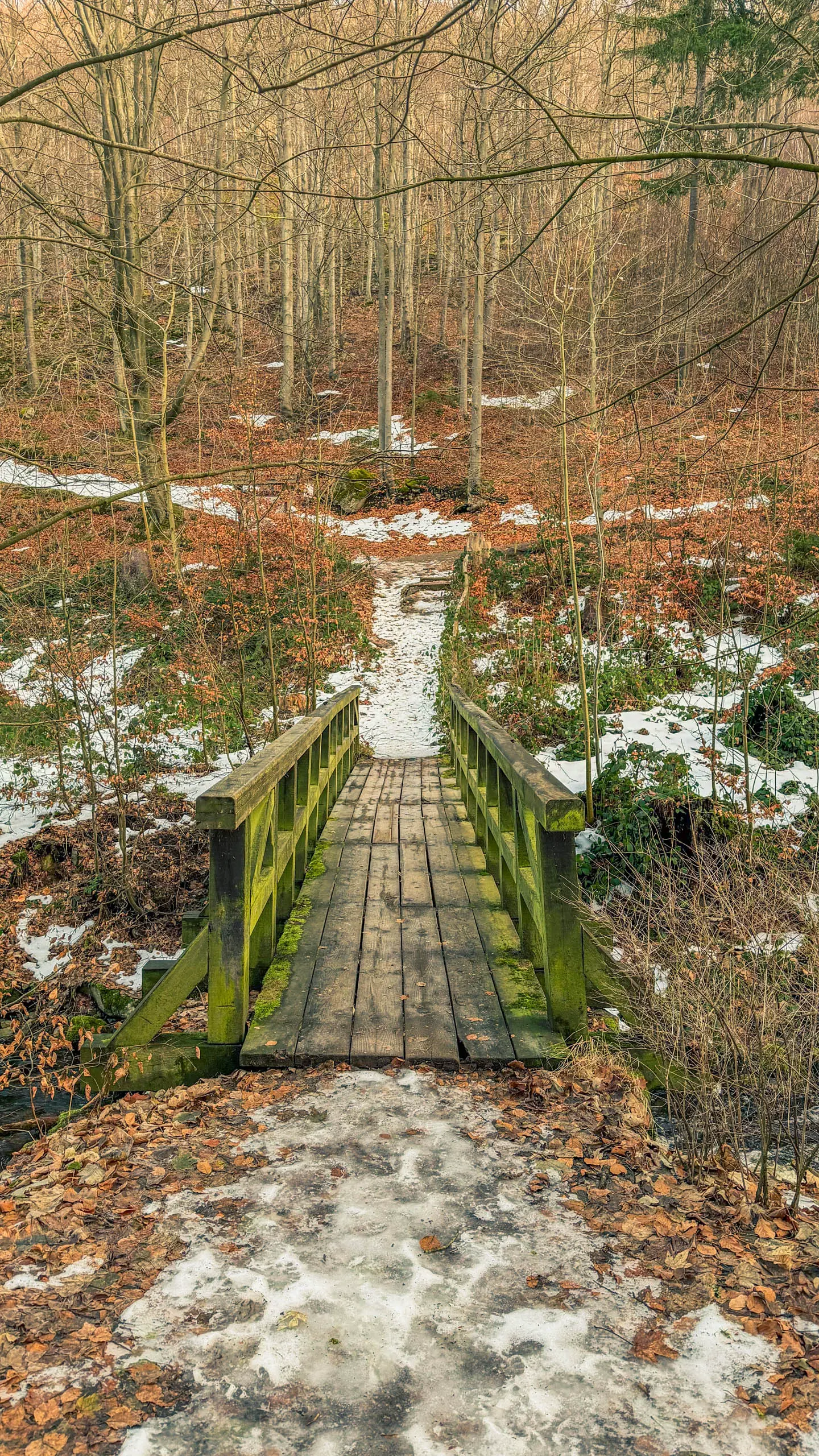 20260117.Harz.Bad.Harzburg.und.Umgebung.Bild.08
