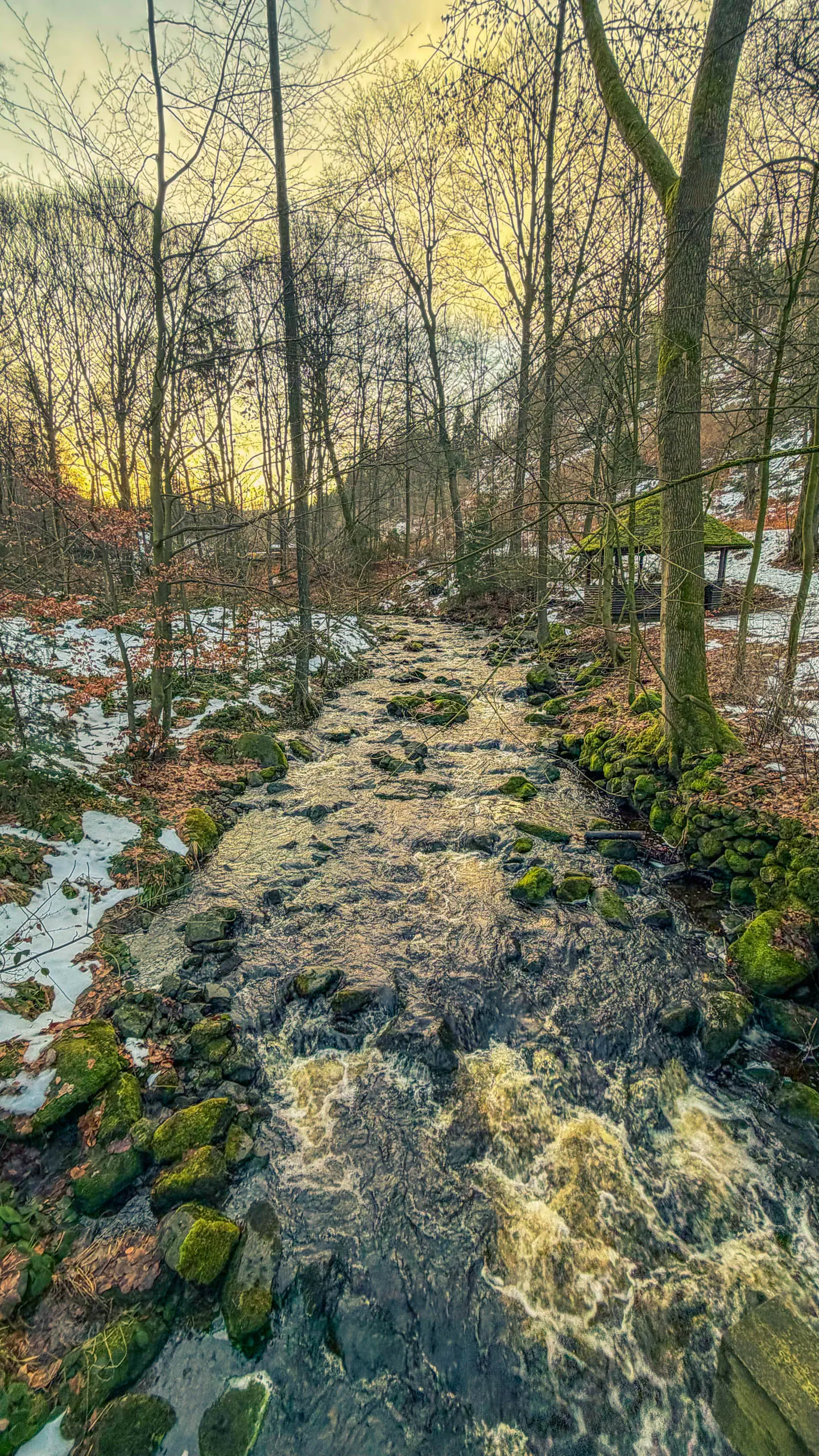 20260117.Harz.Bad.Harzburg.und.Umgebung.Bild.09