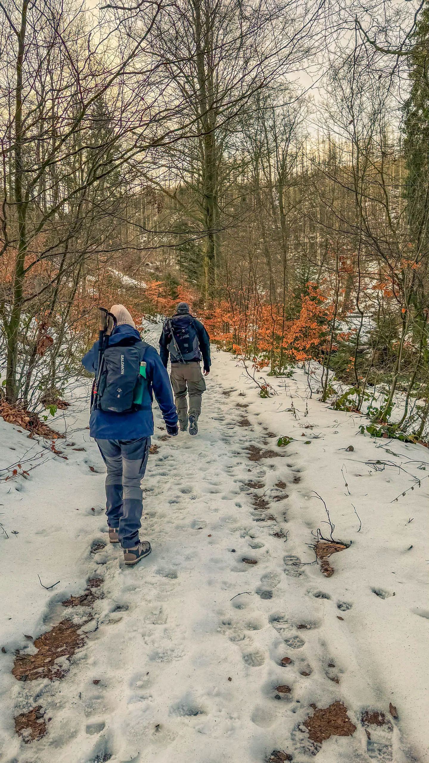 20260117.Harz.Bad.Harzburg.und.Umgebung.Bild.11
