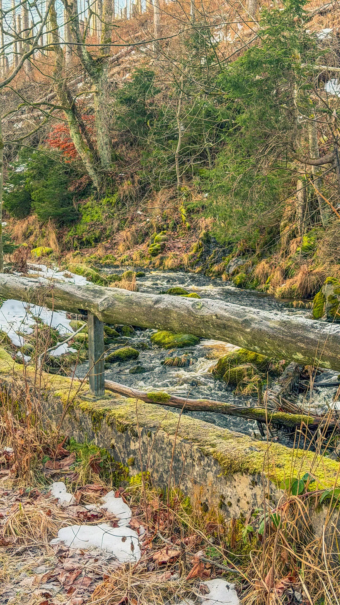 20260117.Harz.Bad.Harzburg.und.Umgebung.Bild.18