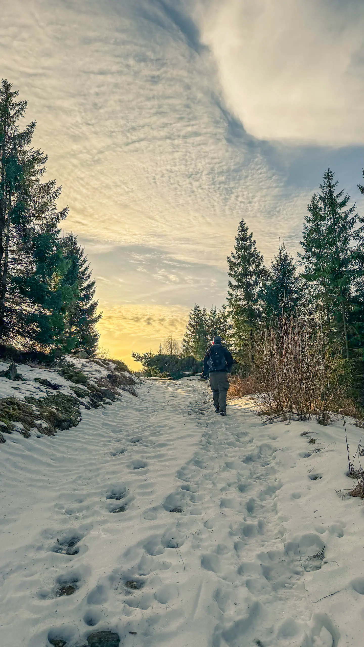 20260117.Harz.Bad.Harzburg.und.Umgebung.Bild.20