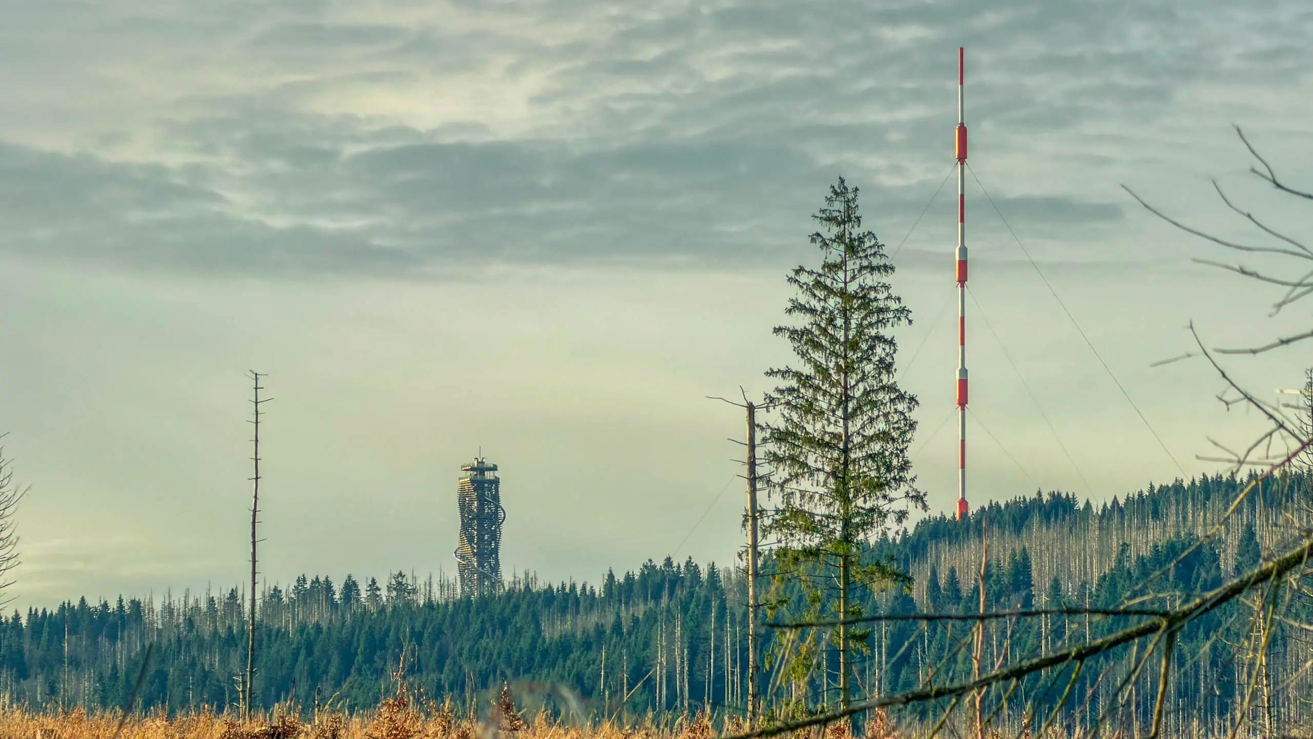 20260117.Harz.Bad.Harzburg.und.Umgebung.Bild.23