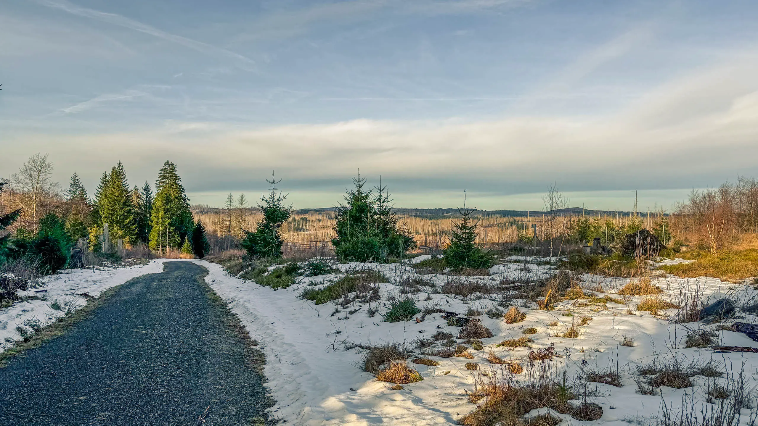 20260117.Harz.Bad.Harzburg.und.Umgebung.Bild.24