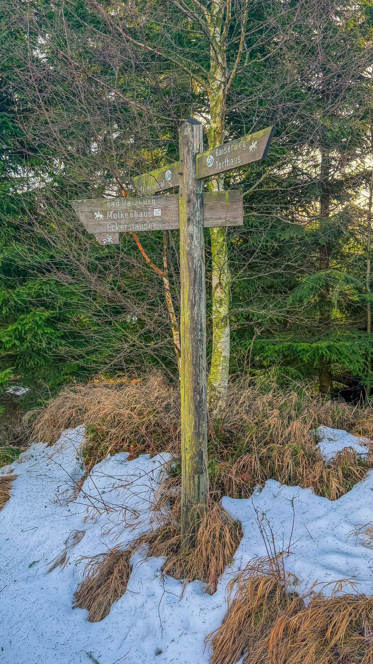 20260117.Harz.Bad.Harzburg.und.Umgebung.Bild.25