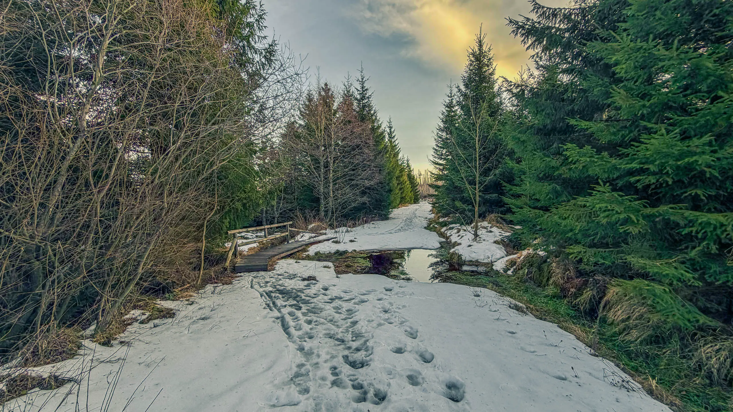20260117.Harz.Bad.Harzburg.und.Umgebung.Bild.26