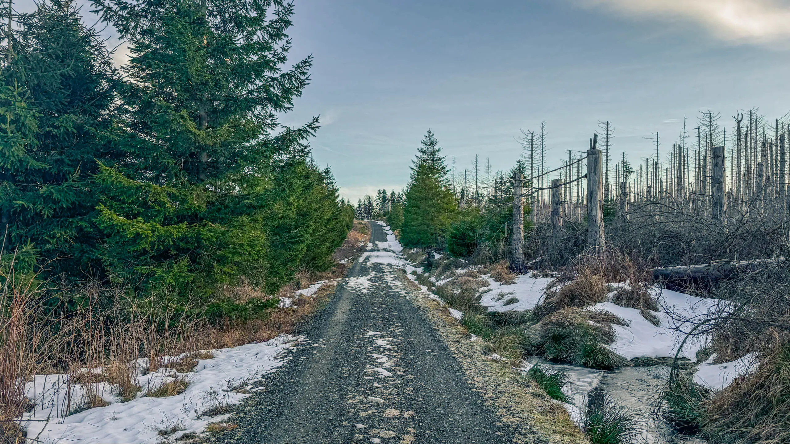 20260117.Harz.Bad.Harzburg.und.Umgebung.Bild.28