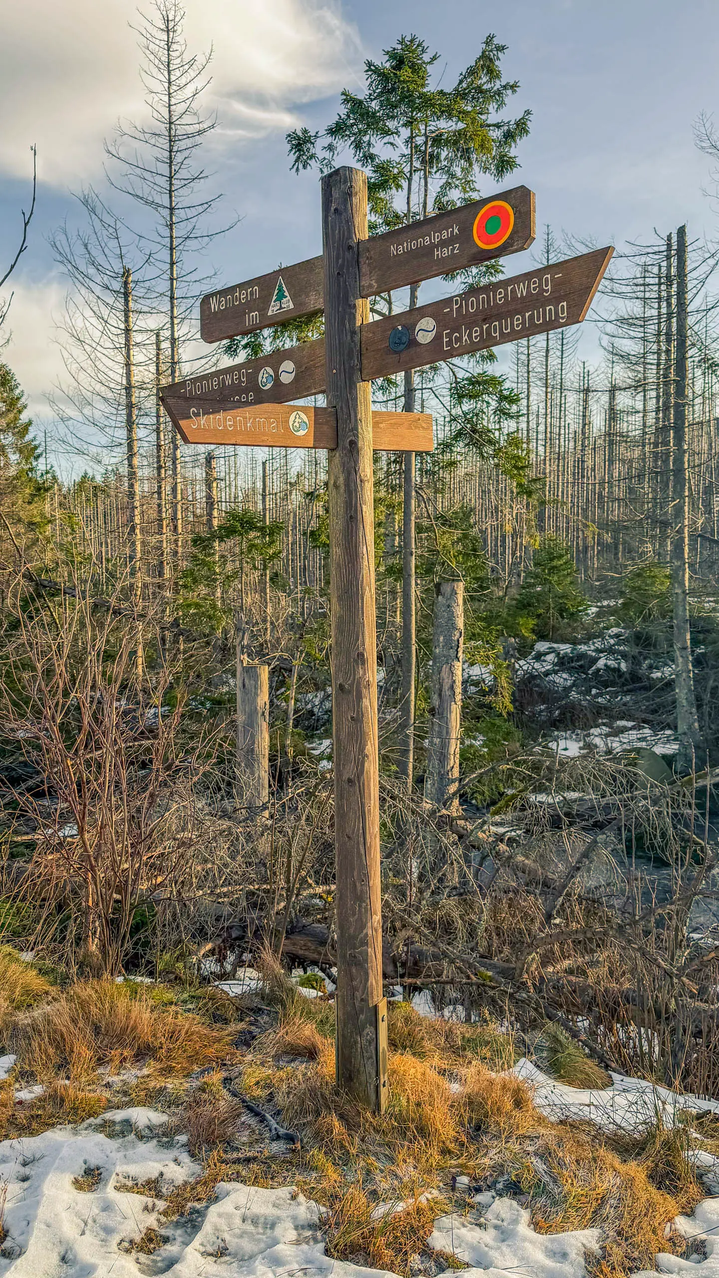 20260117.Harz.Bad.Harzburg.und.Umgebung.Bild.33