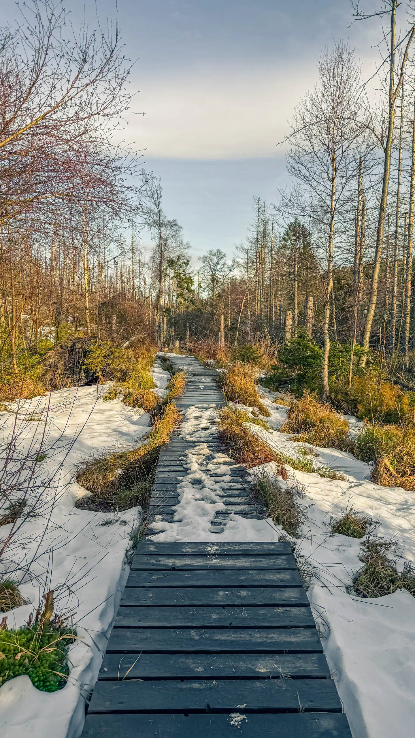 20260117.Harz.Bad.Harzburg.und.Umgebung.Bild.35
