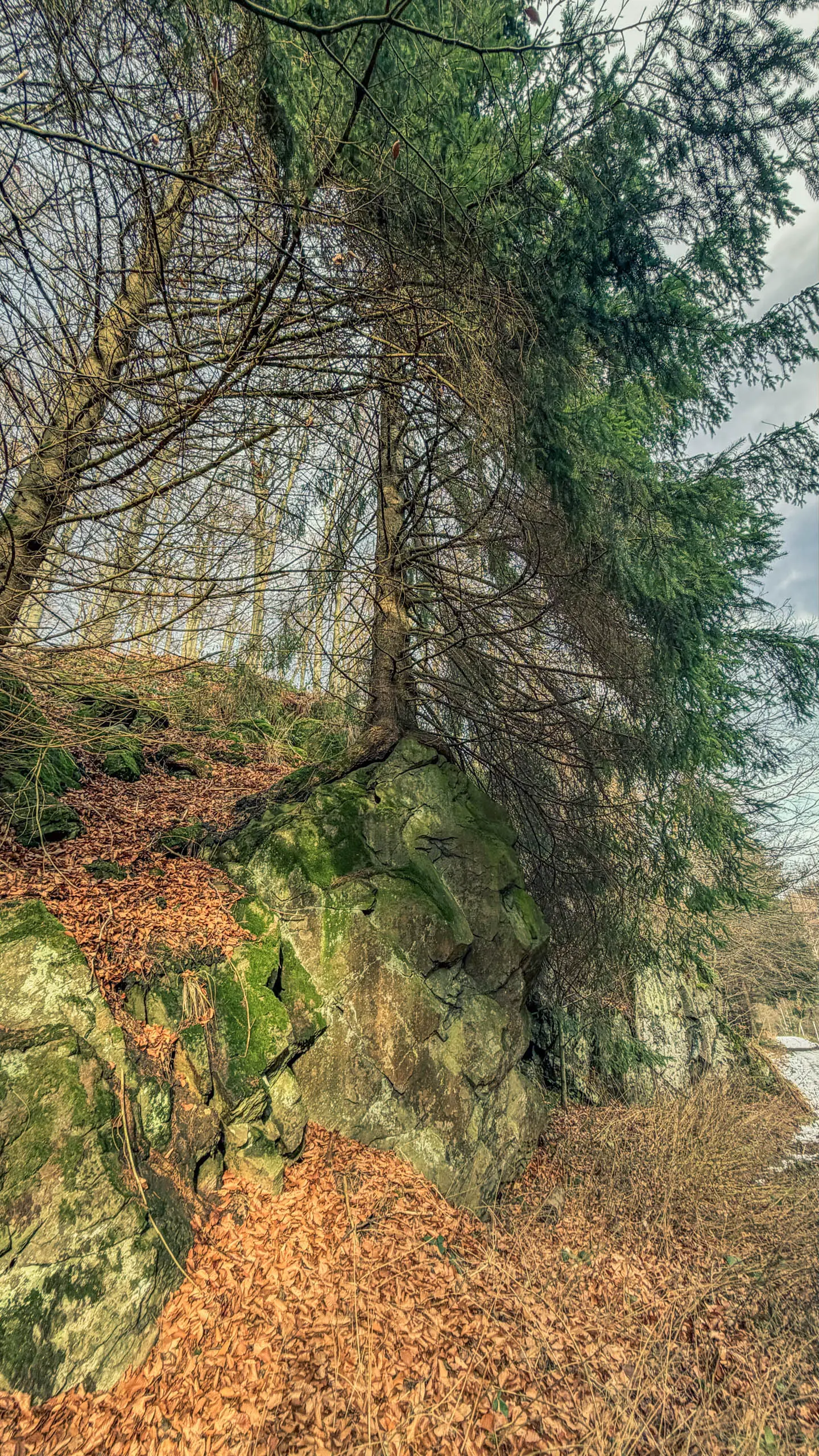 20260117.Harz.Bad.Harzburg.und.Umgebung.Bild.47