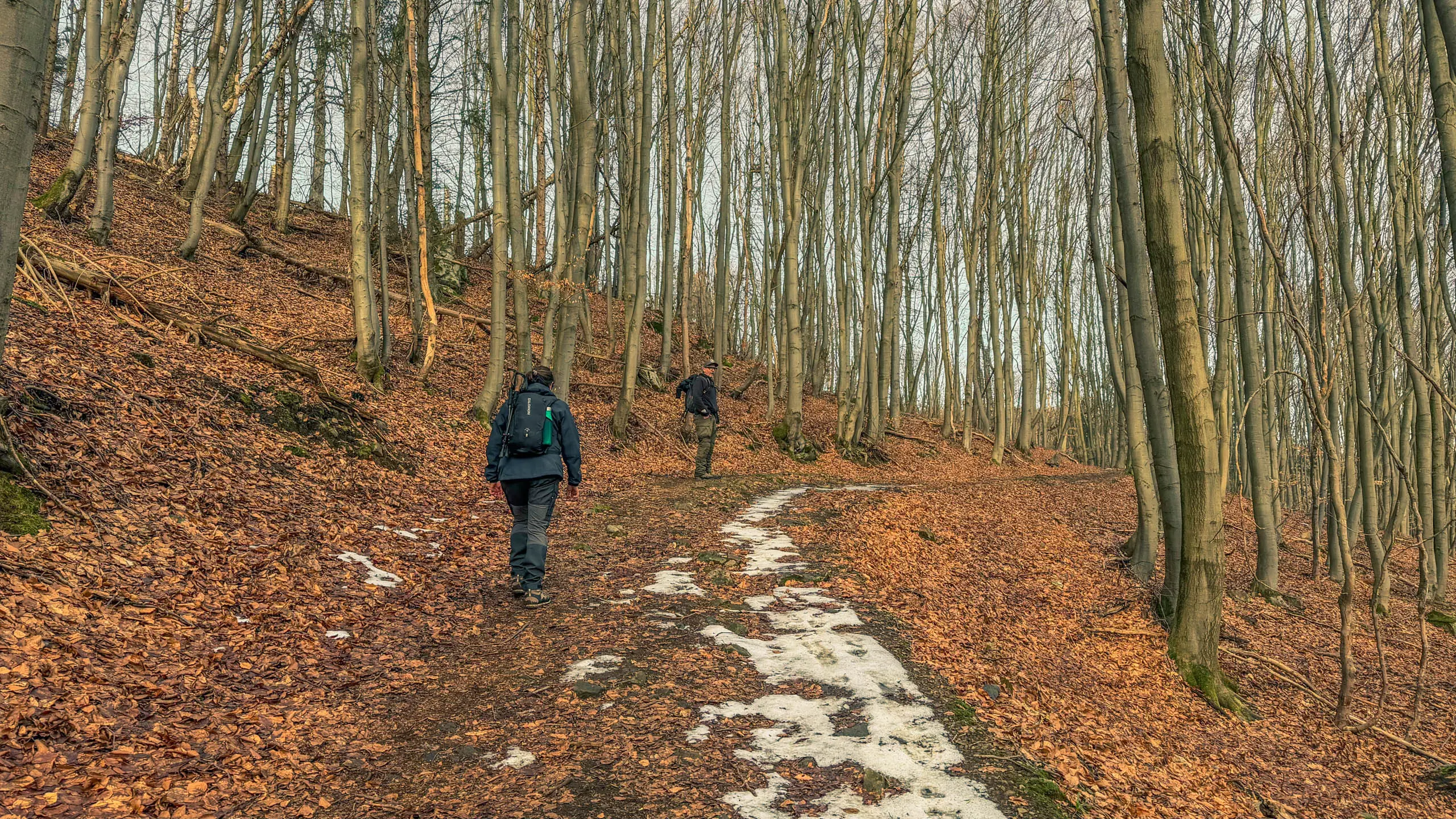 20260117.Harz.Bad.Harzburg.und.Umgebung.Bild.49