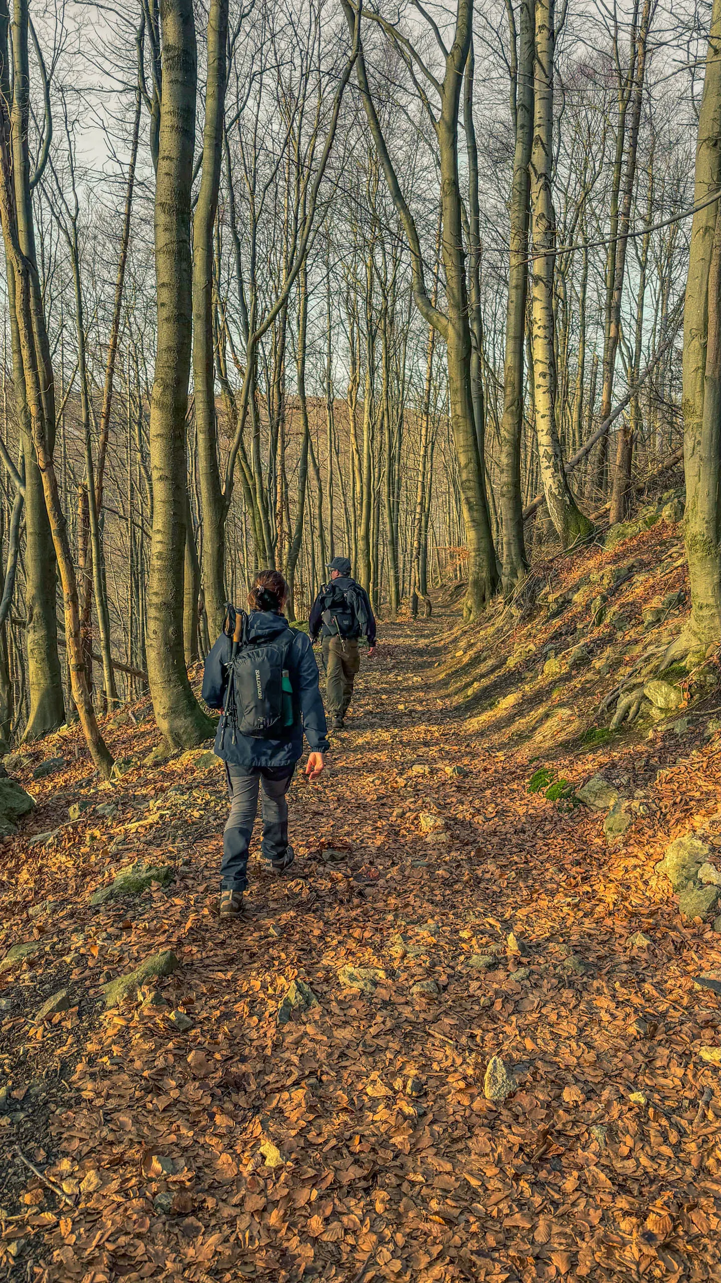 20260117.Harz.Bad.Harzburg.und.Umgebung.Bild.54