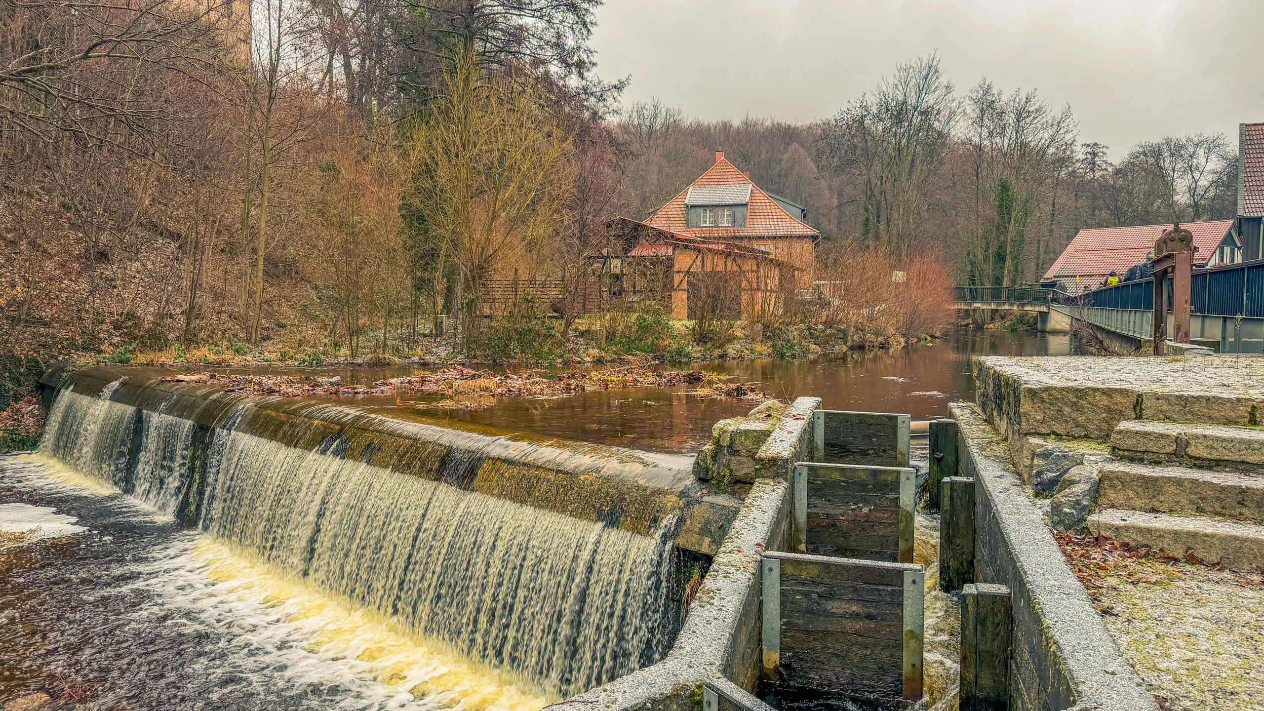 20260214.EMTI.Harzmarsch.20Km.Ilsenburg.Bild.16