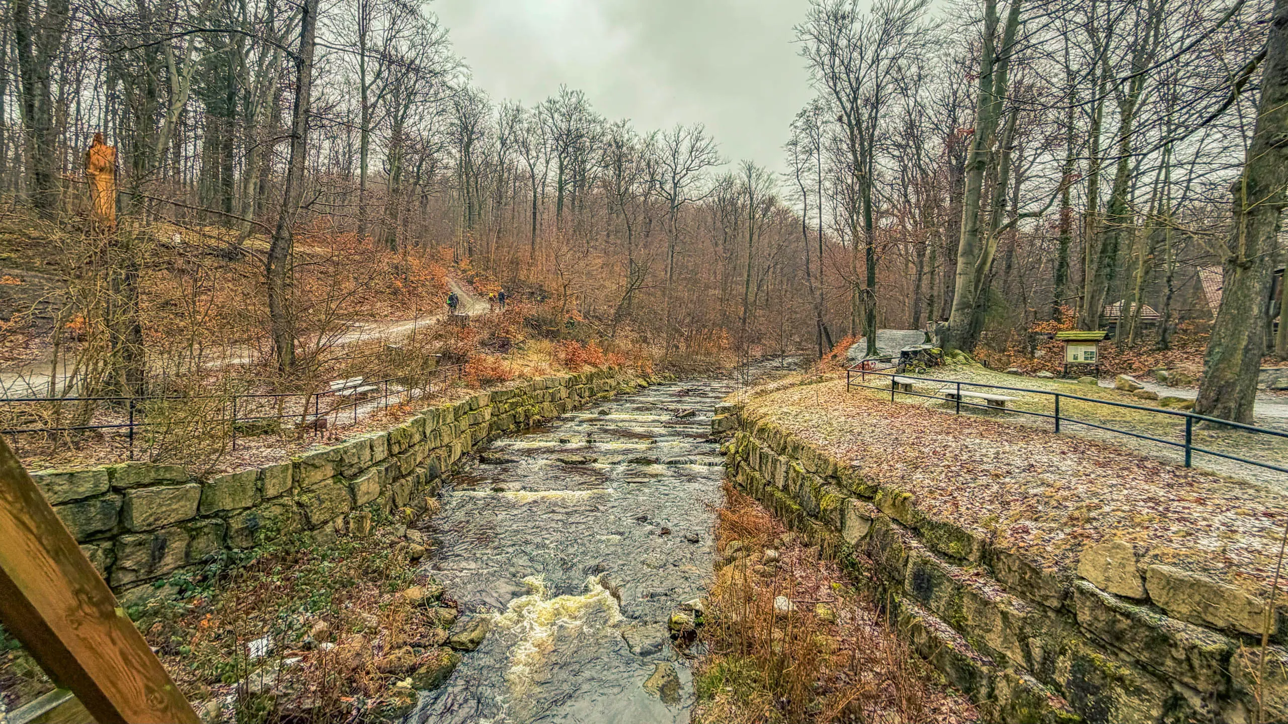 20260214.EMTI.Harzmarsch.20Km.Ilsenburg.Bild.18