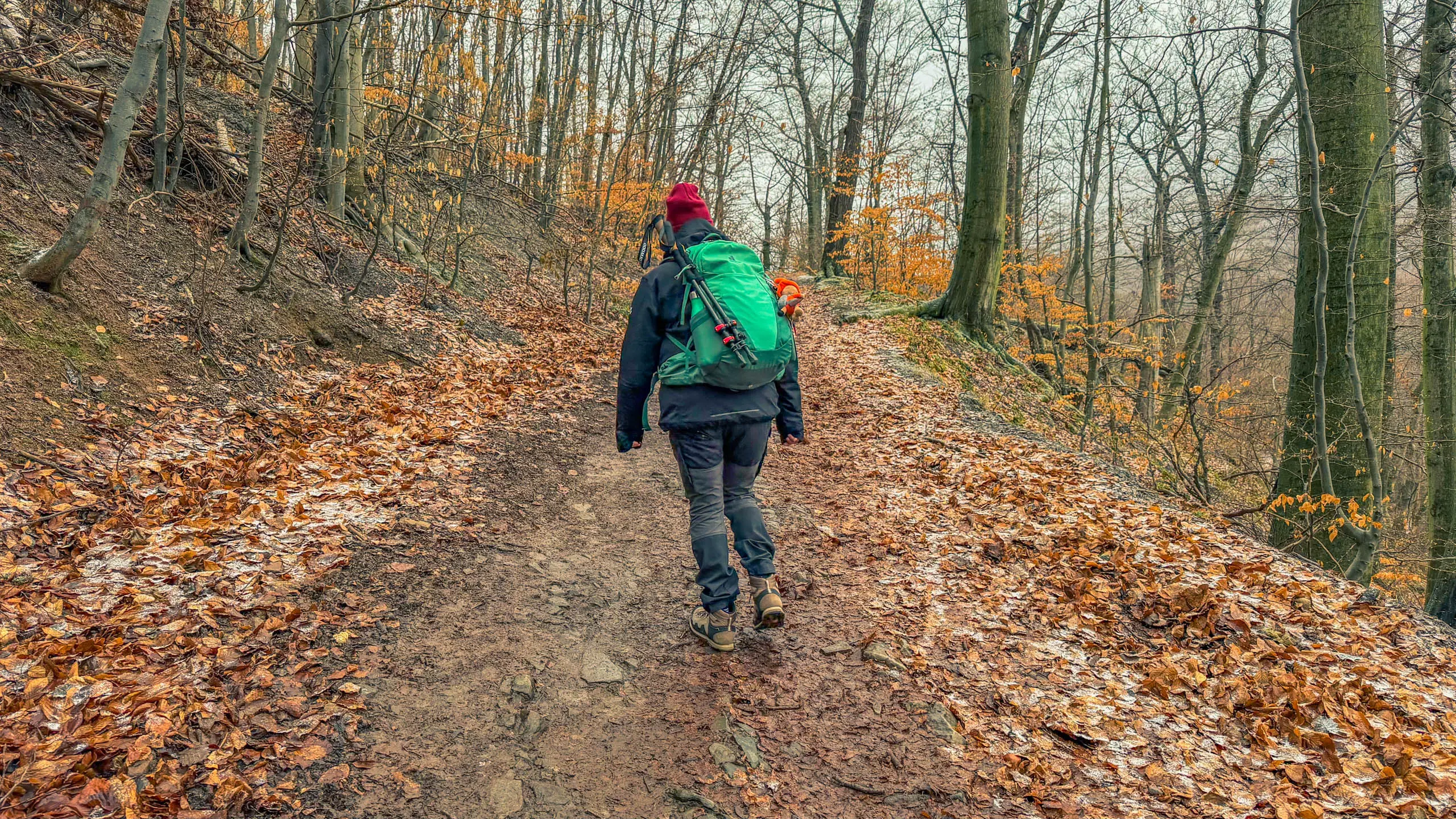 20260214.EMTI.Harzmarsch.20Km.Ilsenburg.Bild.19