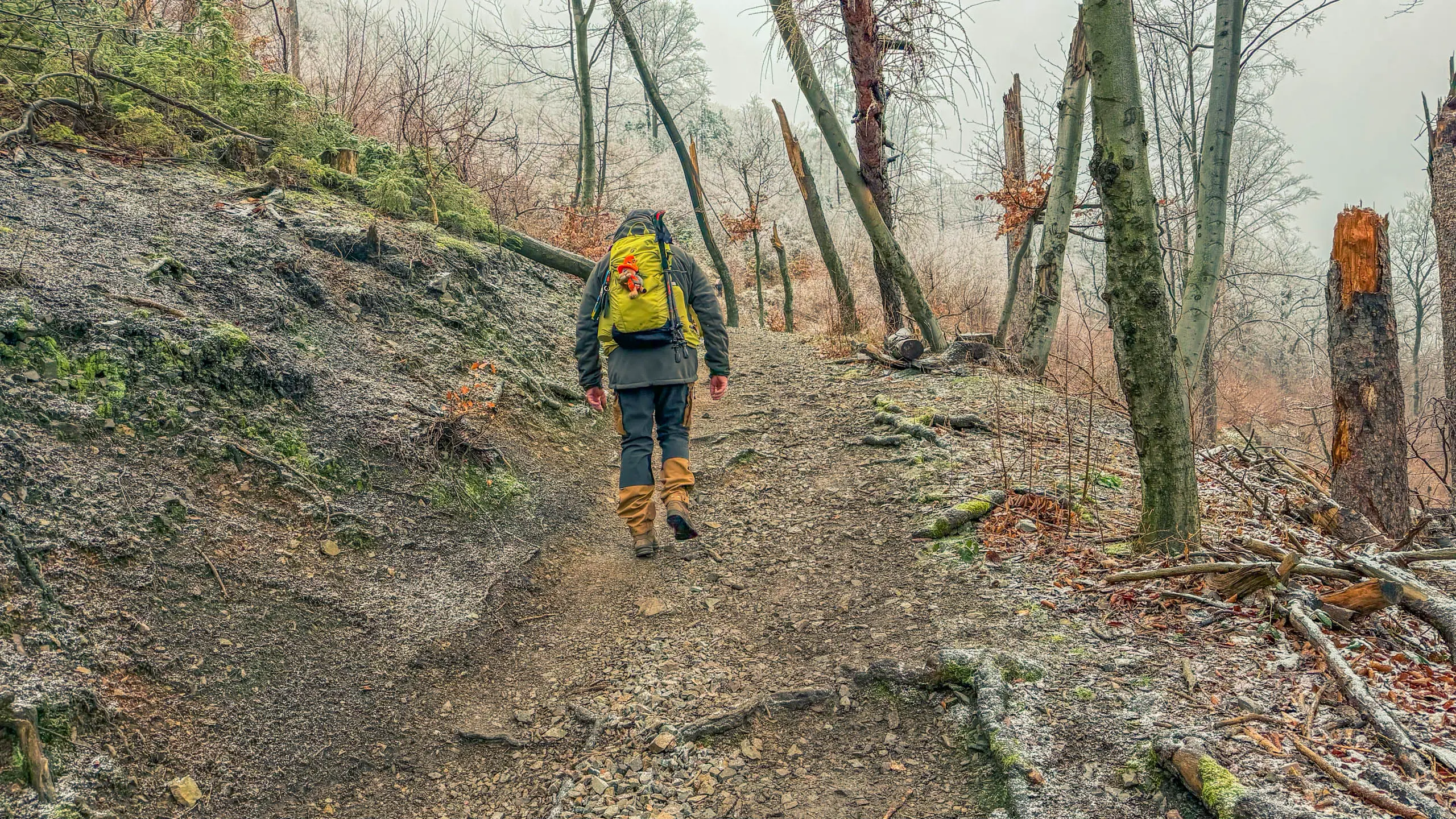 20260214.EMTI.Harzmarsch.20Km.Ilsenburg.Bild.20