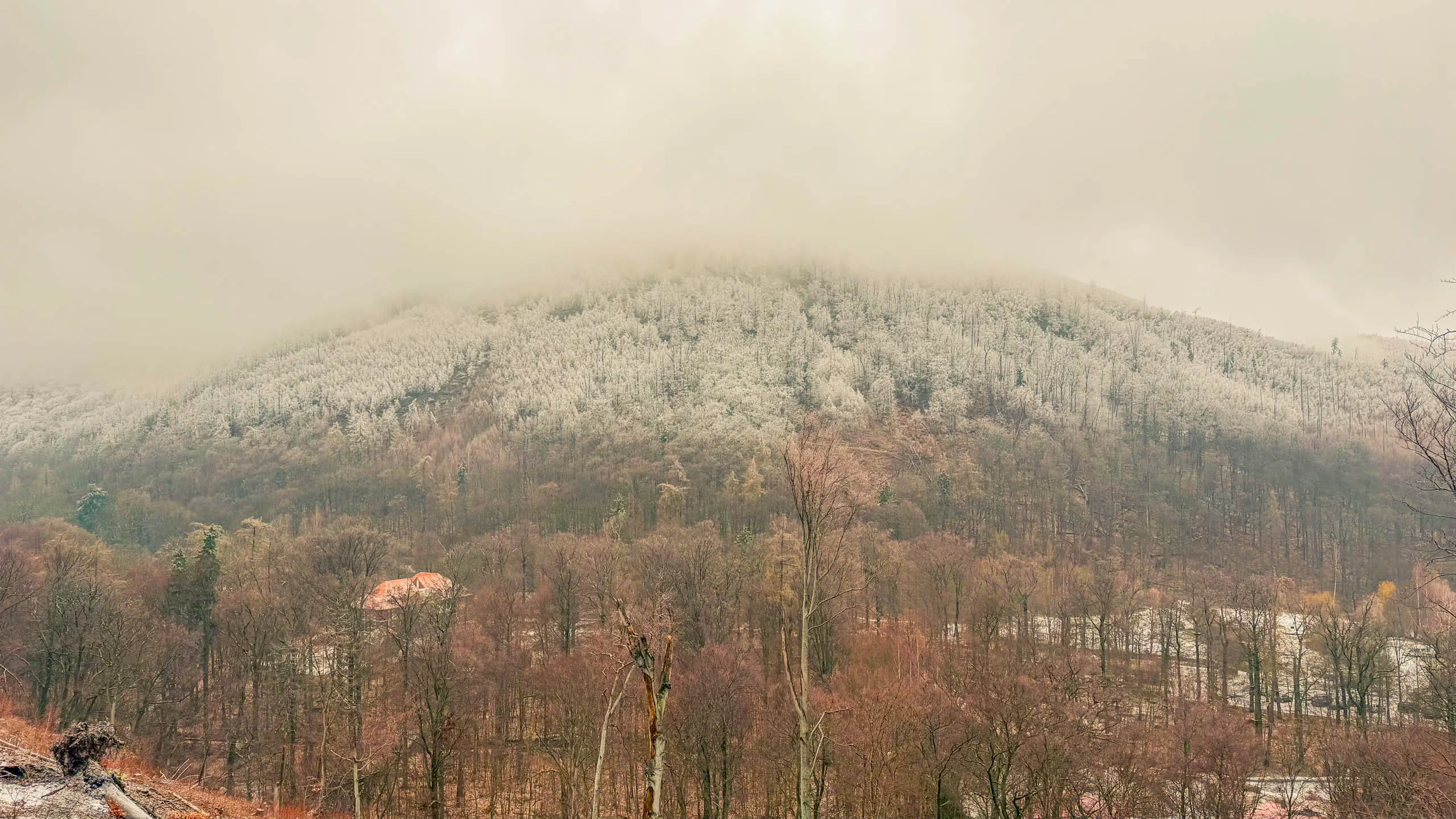 20260214.EMTI.Harzmarsch.20Km.Ilsenburg.Bild.21