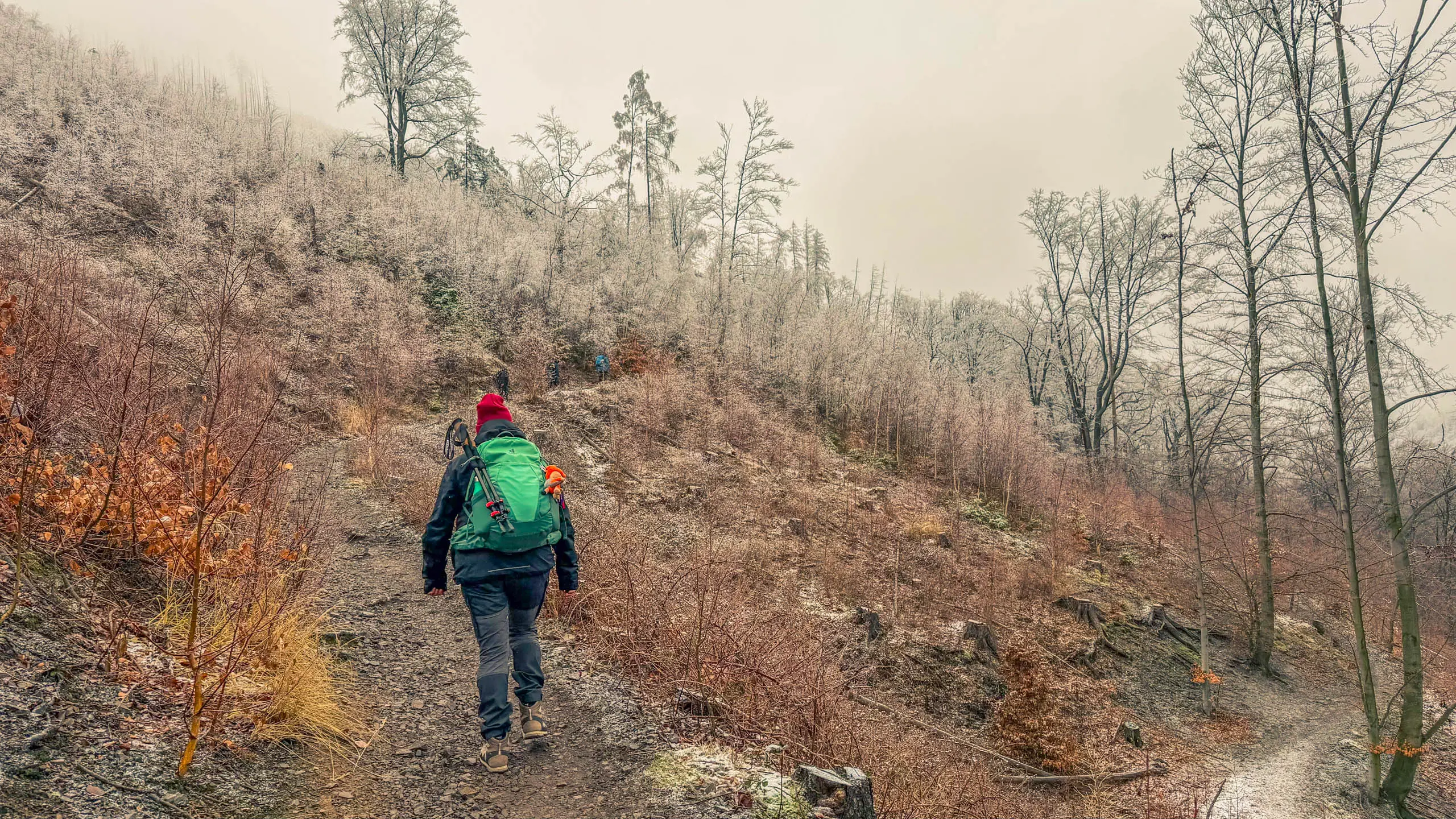 20260214.EMTI.Harzmarsch.20Km.Ilsenburg.Bild.22
