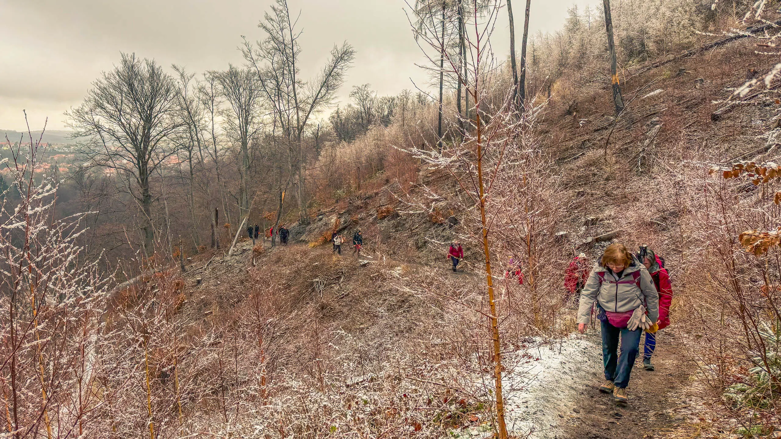 20260214.EMTI.Harzmarsch.20Km.Ilsenburg.Bild.23