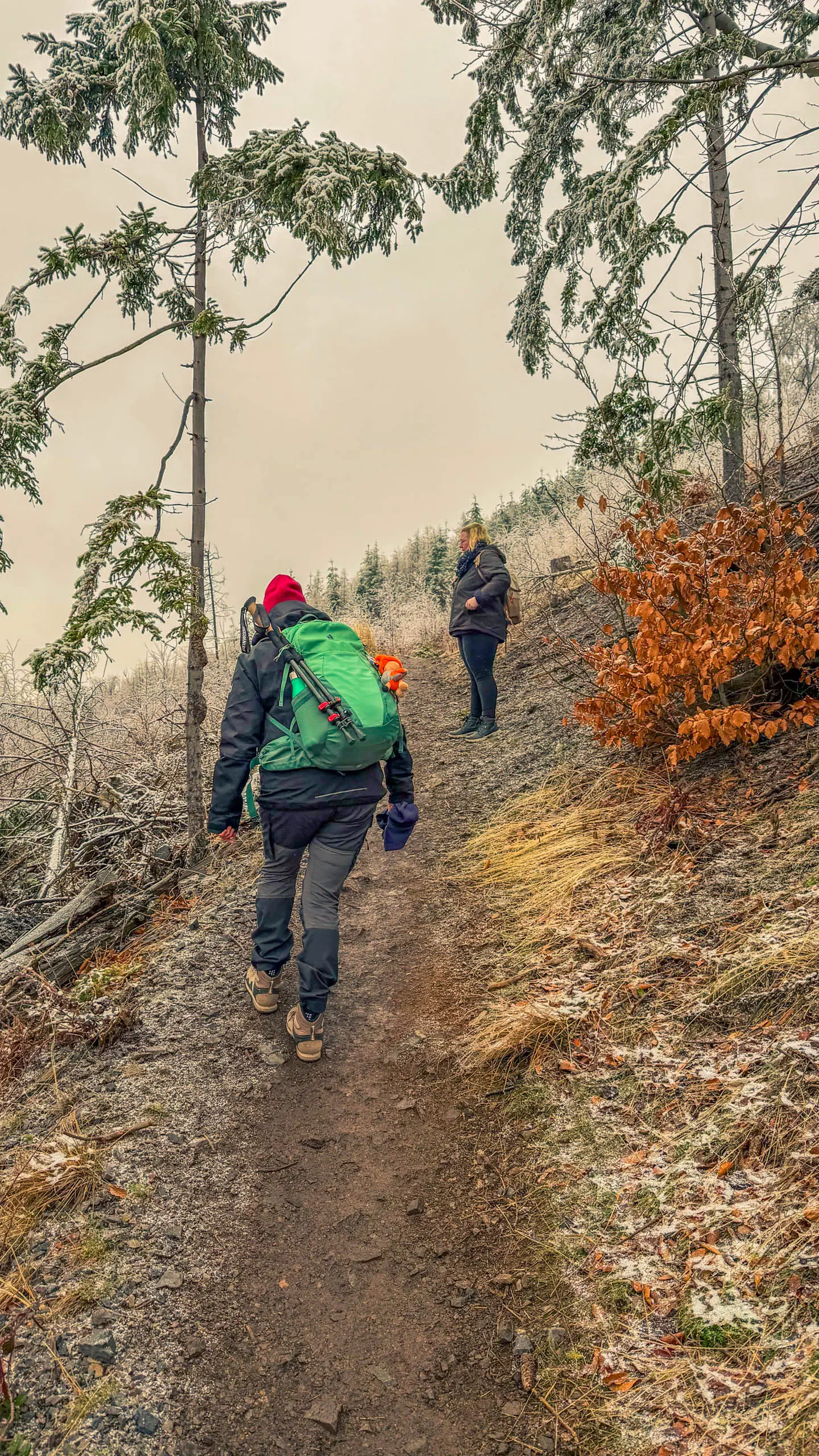 20260214.EMTI.Harzmarsch.20Km.Ilsenburg.Bild.24